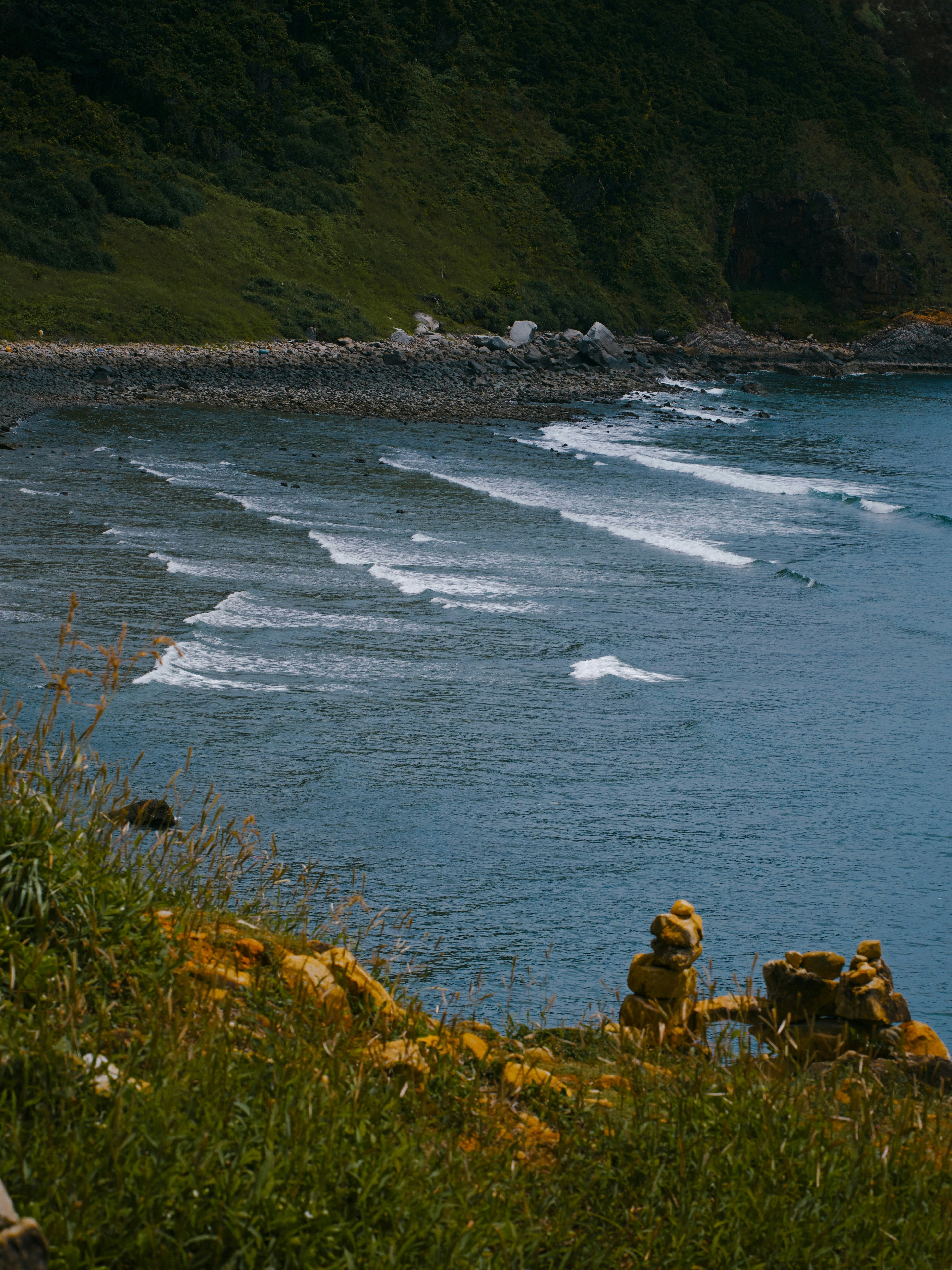 Photo by liliantruong2603