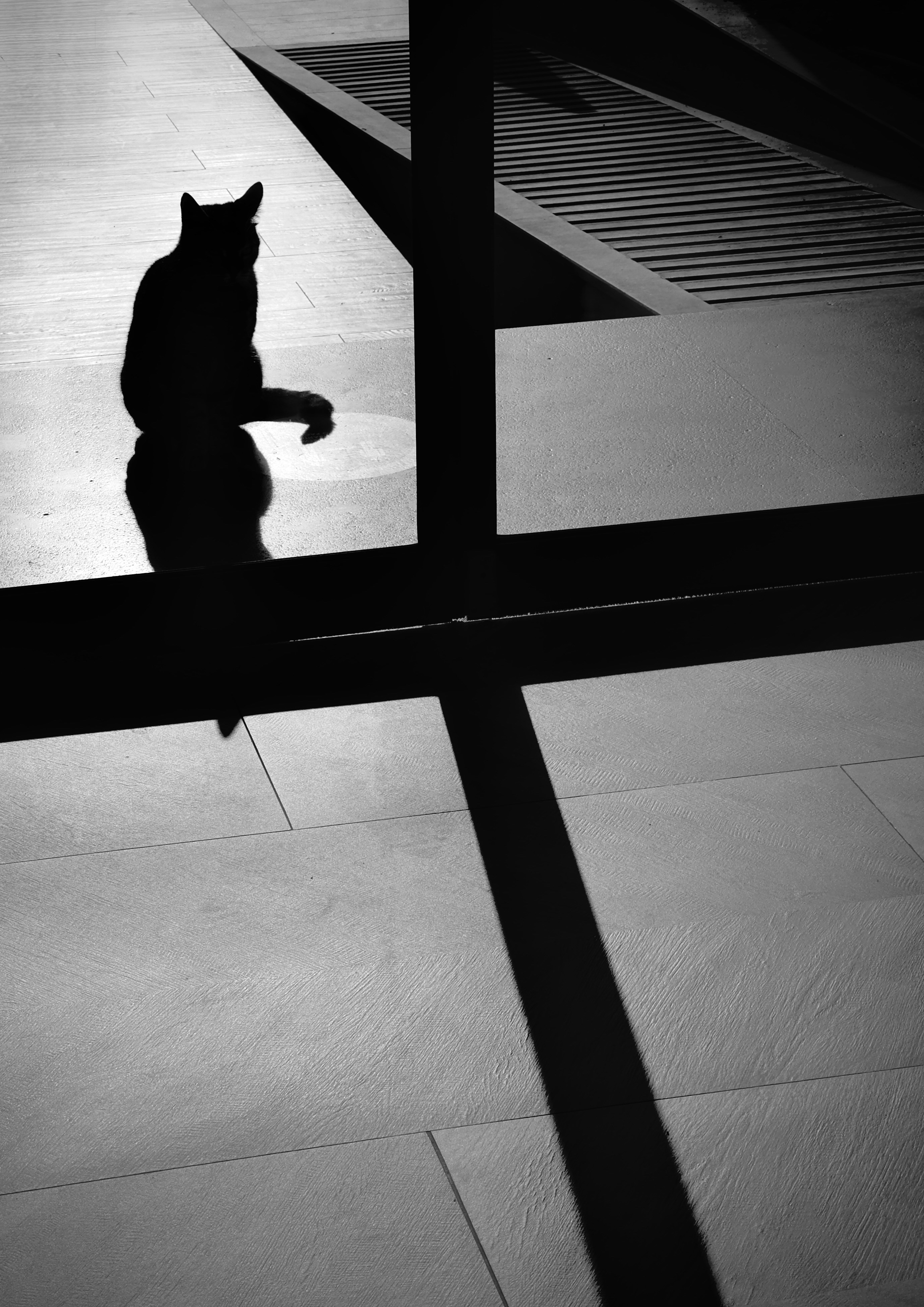 Photo by mrparalloid