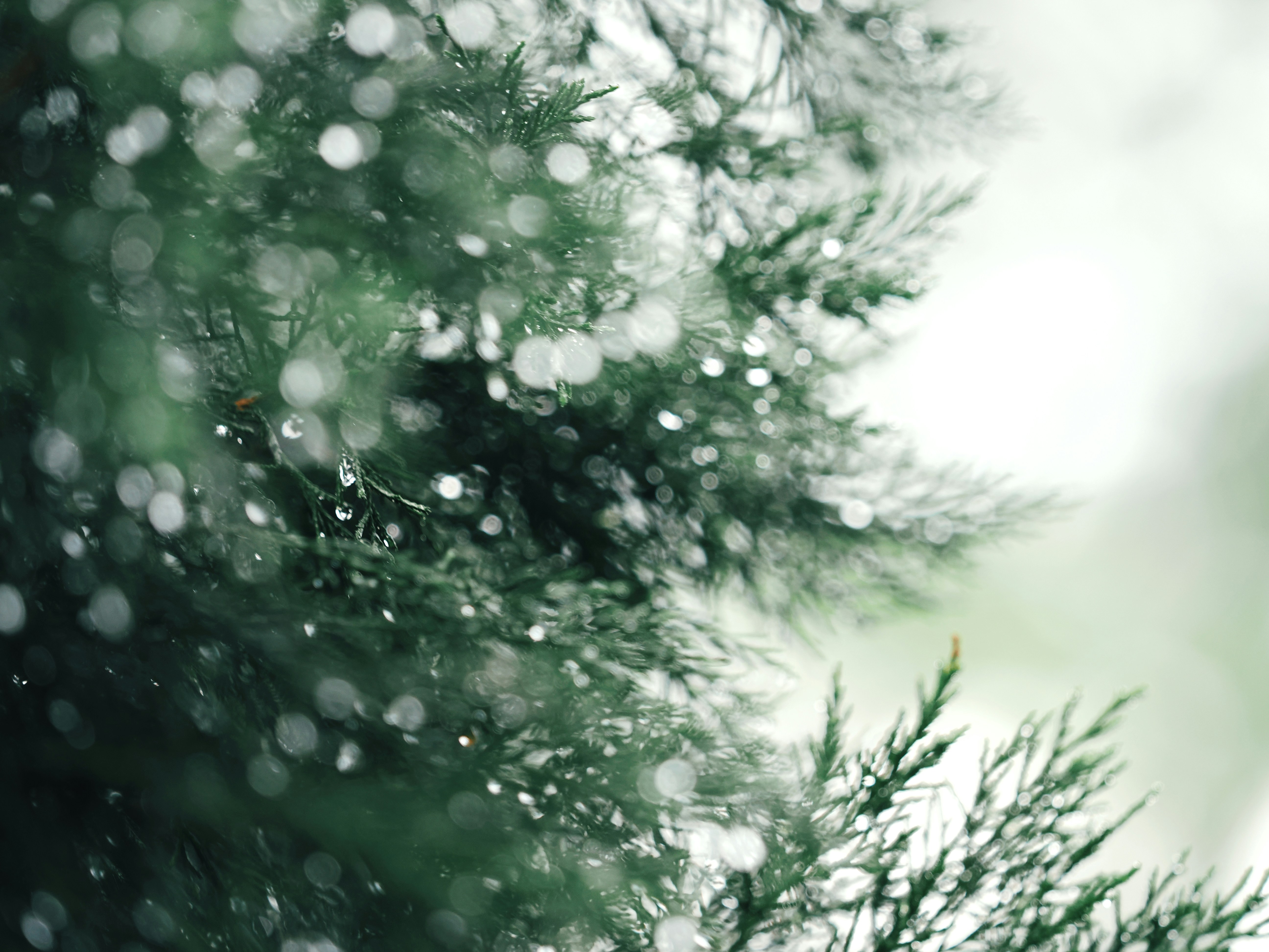 Photo by liliantruong2603