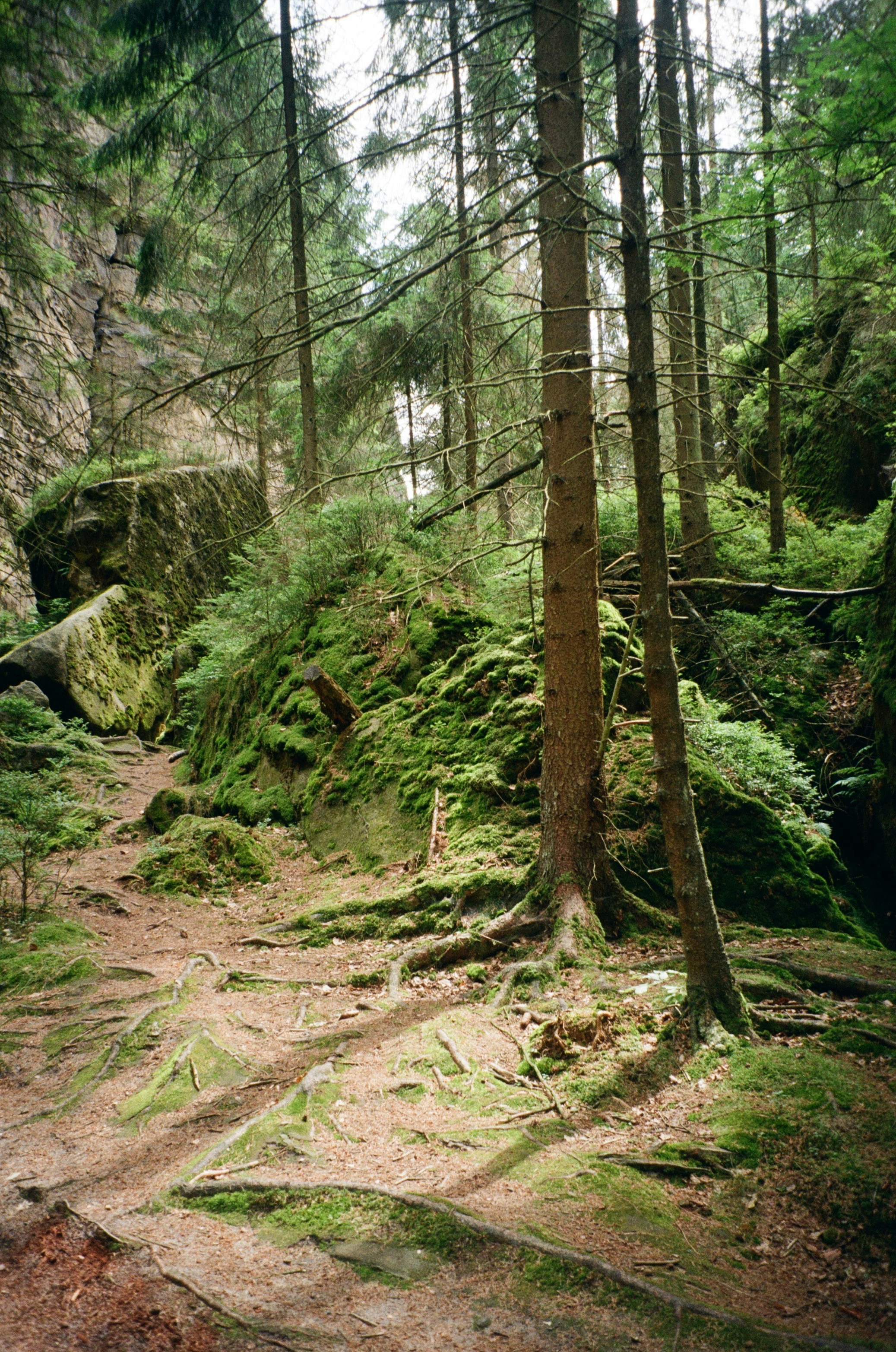 Photo by _kseniademenko