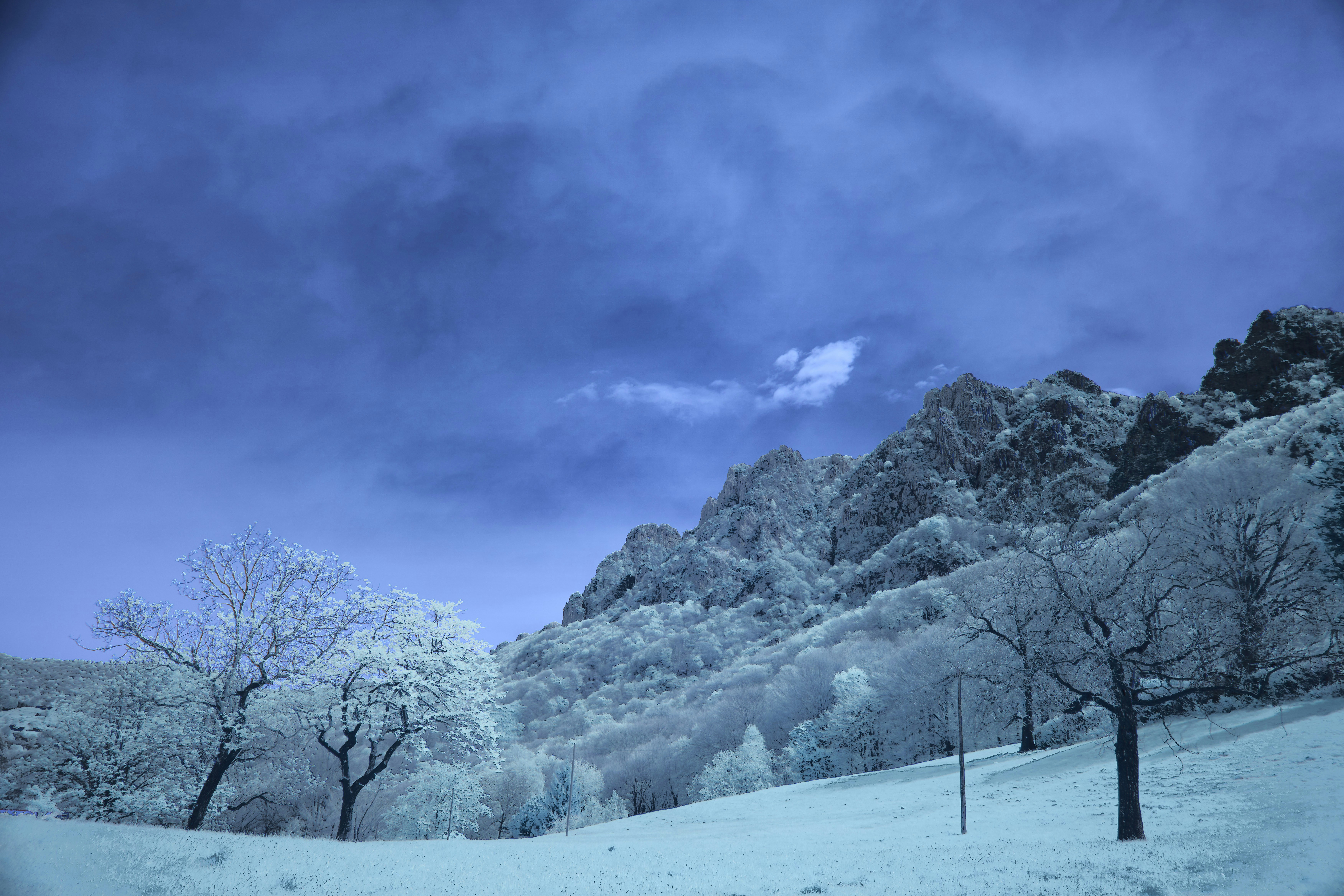 Photo by wolfgang_hasselmann