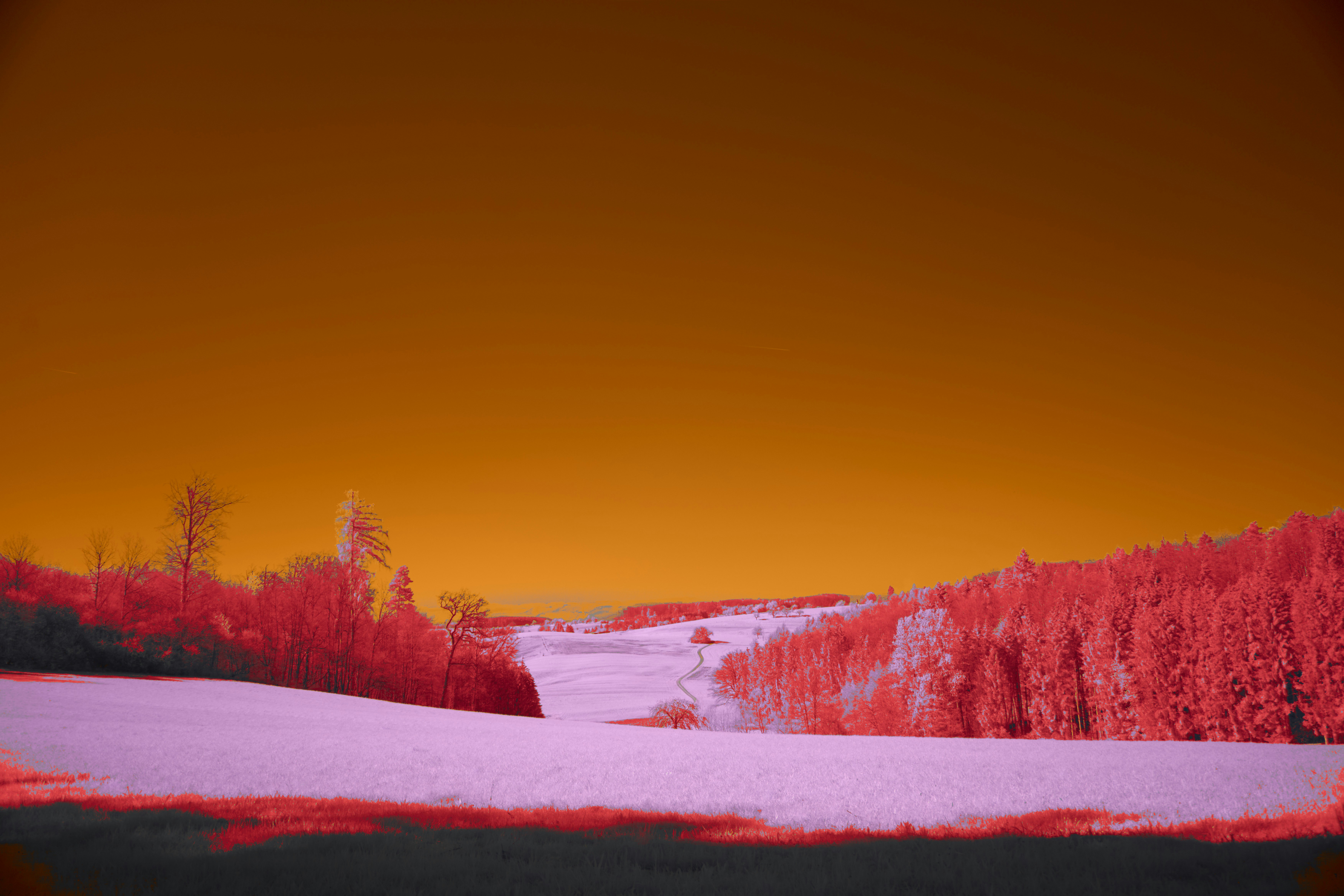 Photo by wolfgang_hasselmann