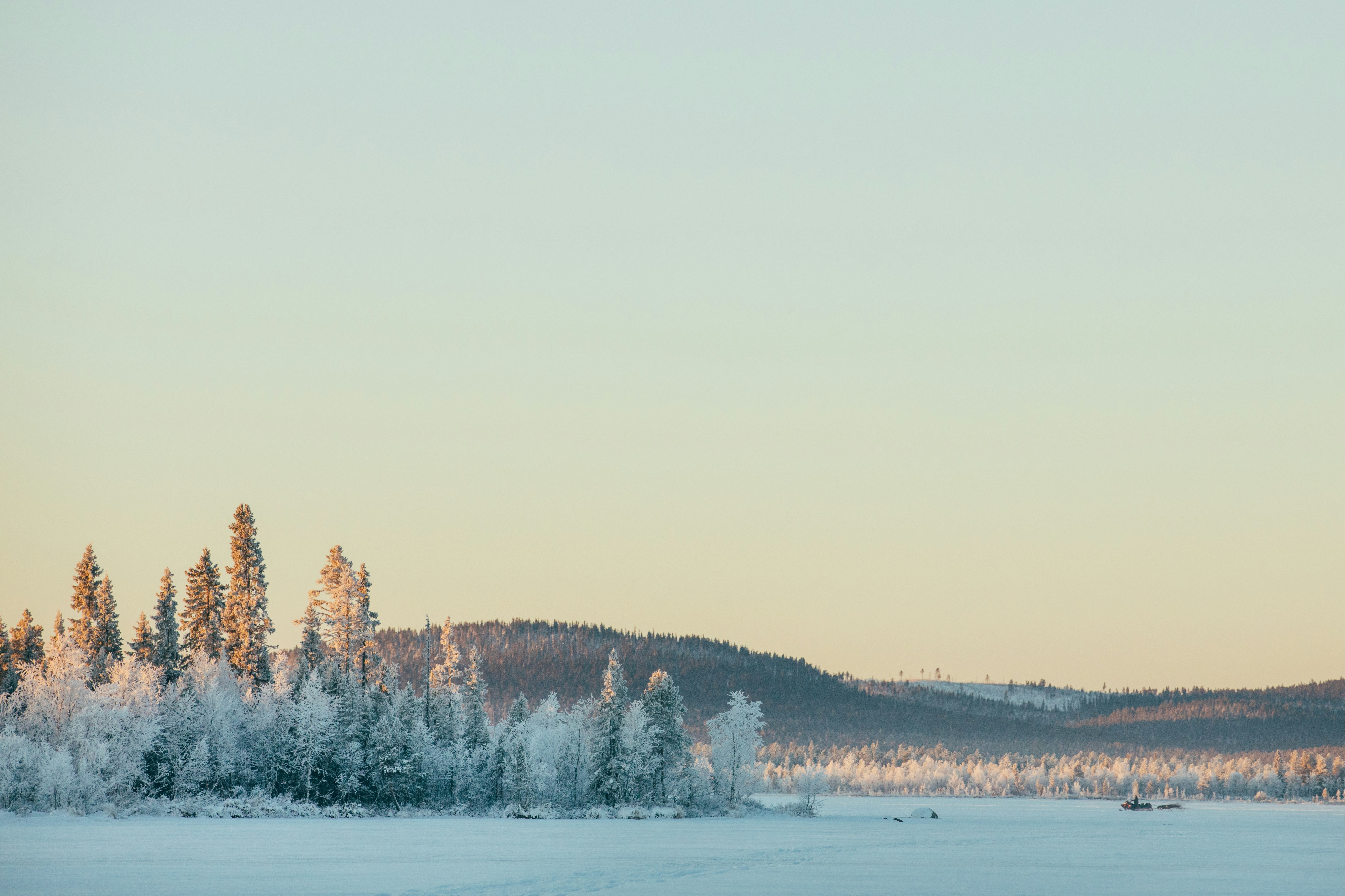 Photo by maxboettinger