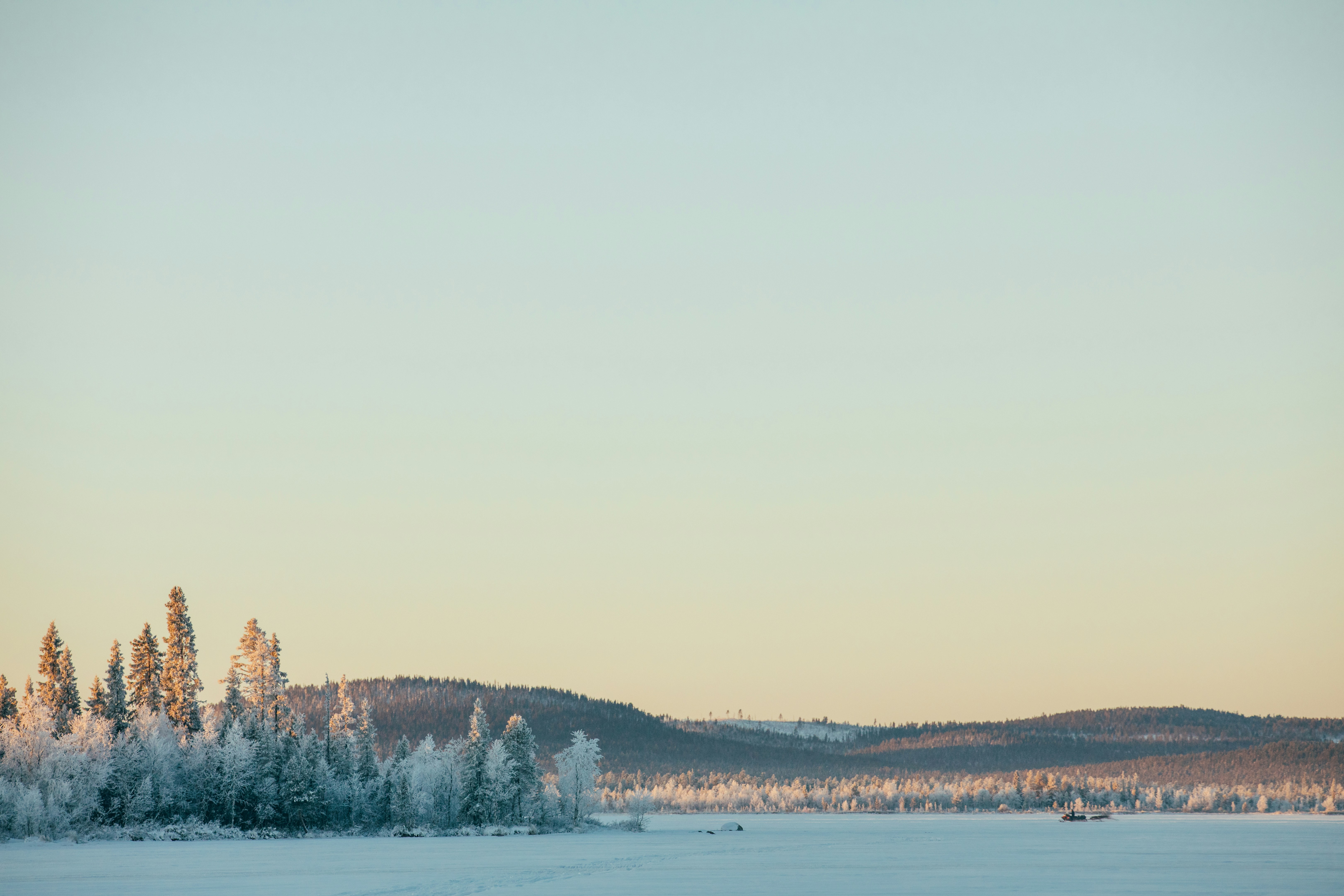 Browsing the Departure: Exactly How to Surrender as Your Company's Registered Agent