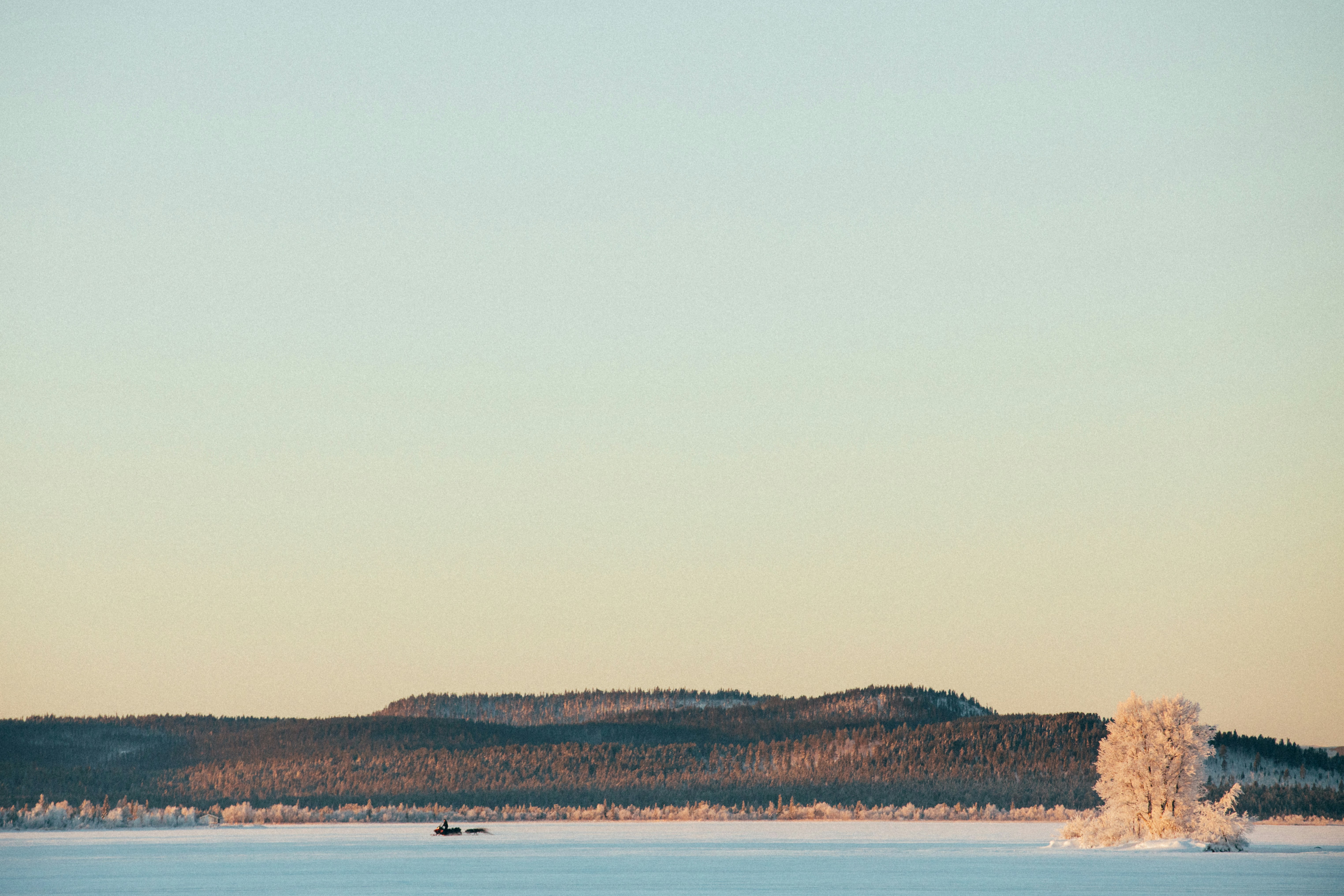 Photo by maxboettinger