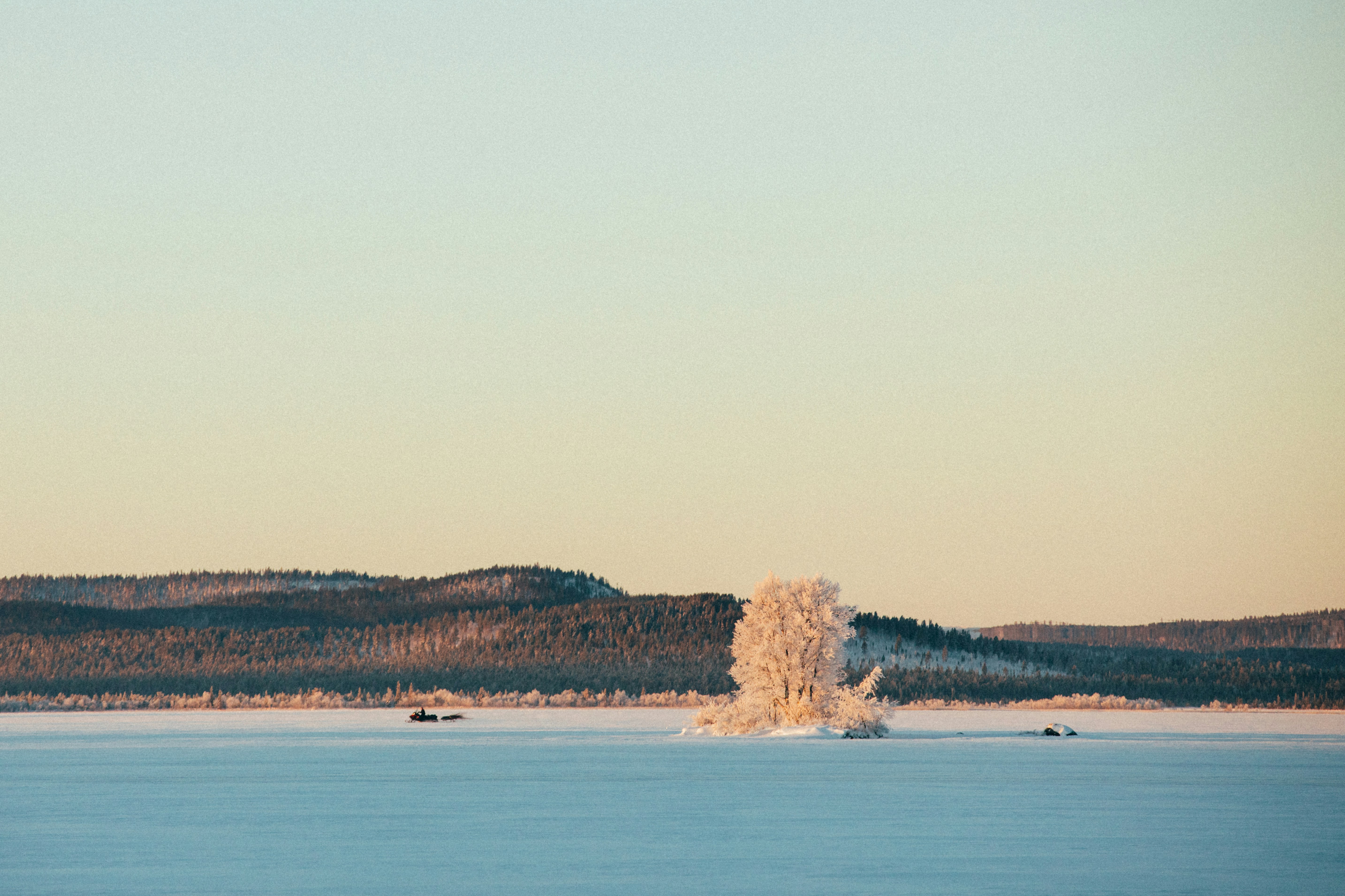 Photo by maxboettinger