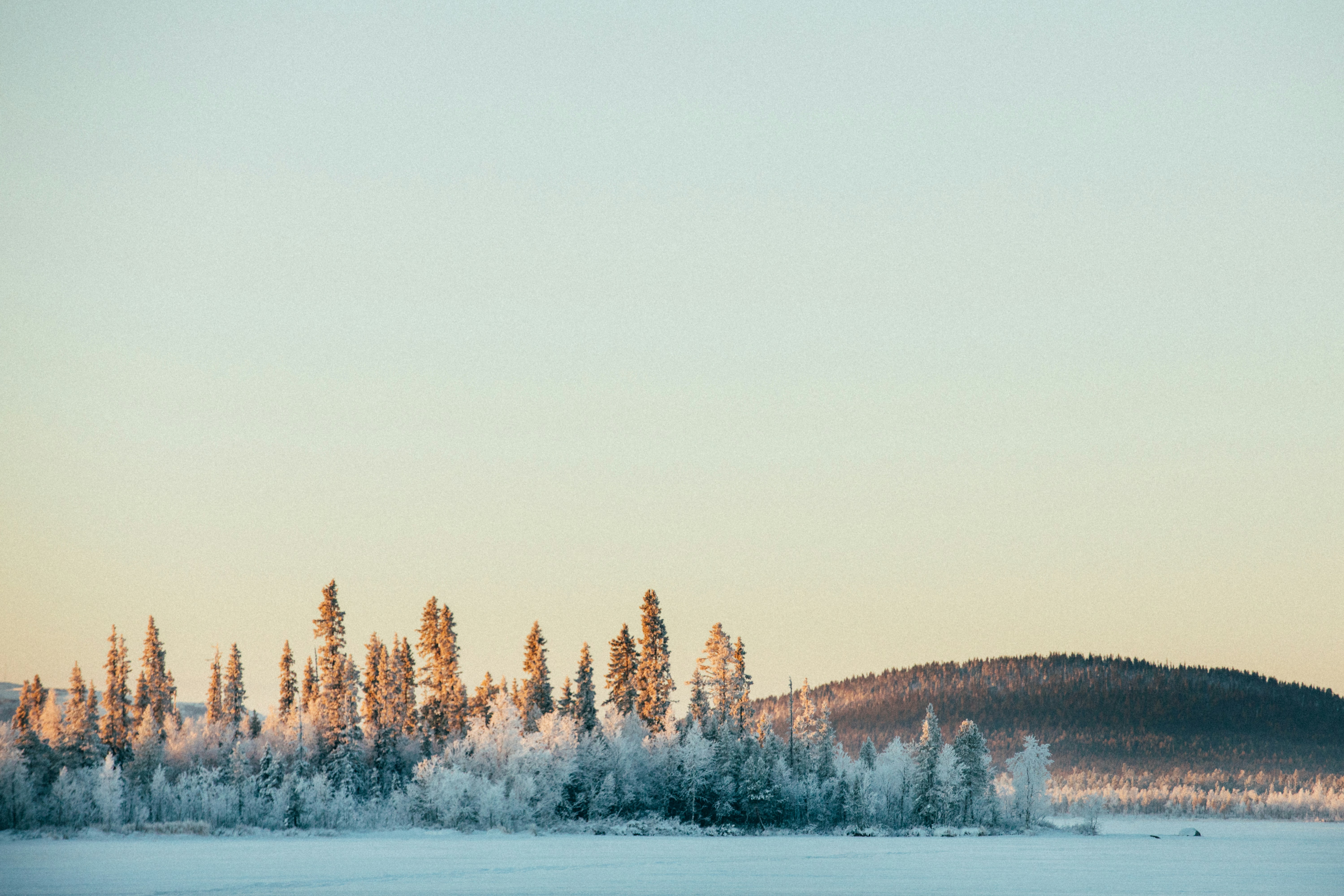 Internet Marketing Advice To Help You Get Better