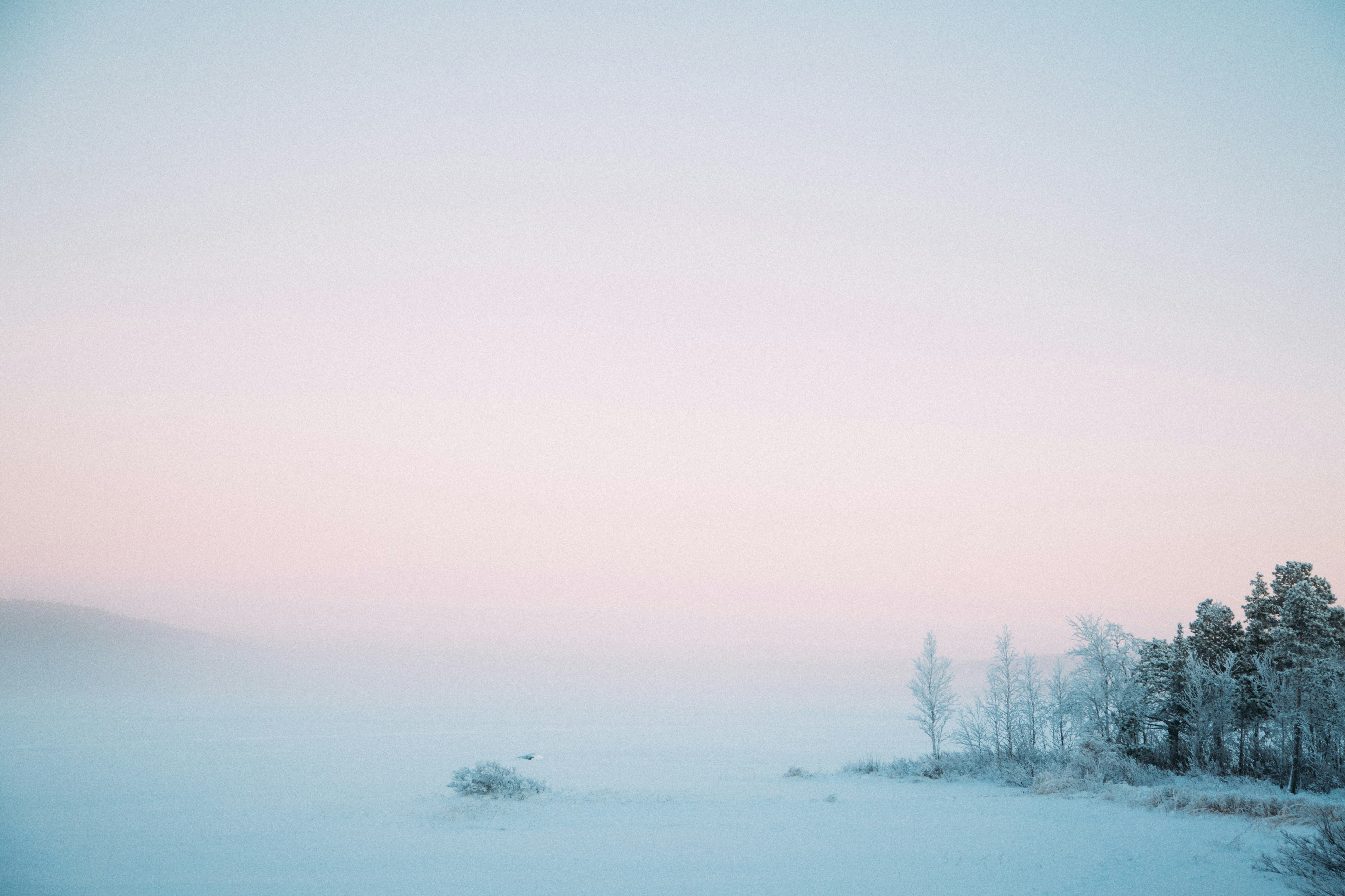 Photo by maxboettinger