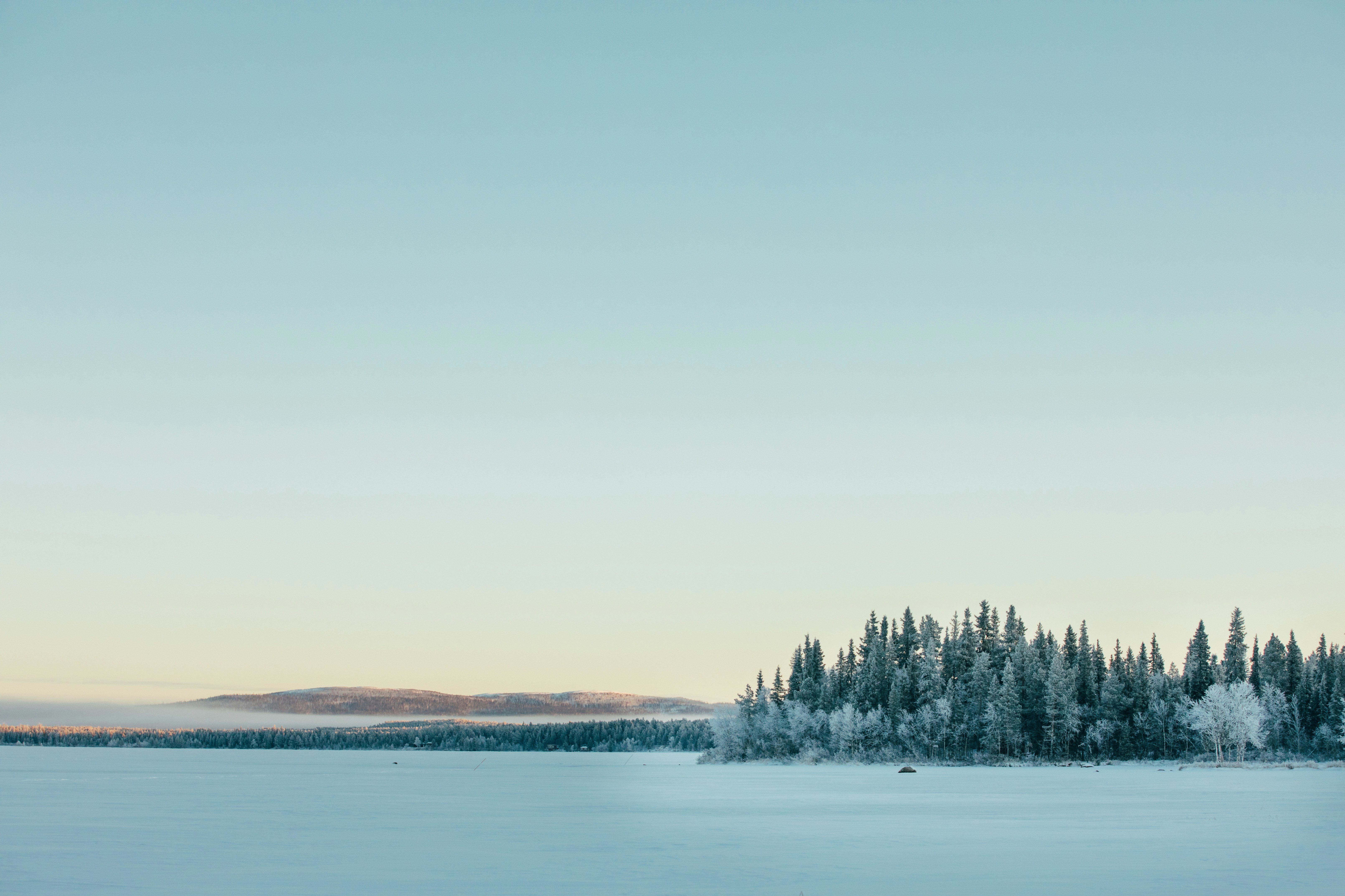 Photo by maxboettinger