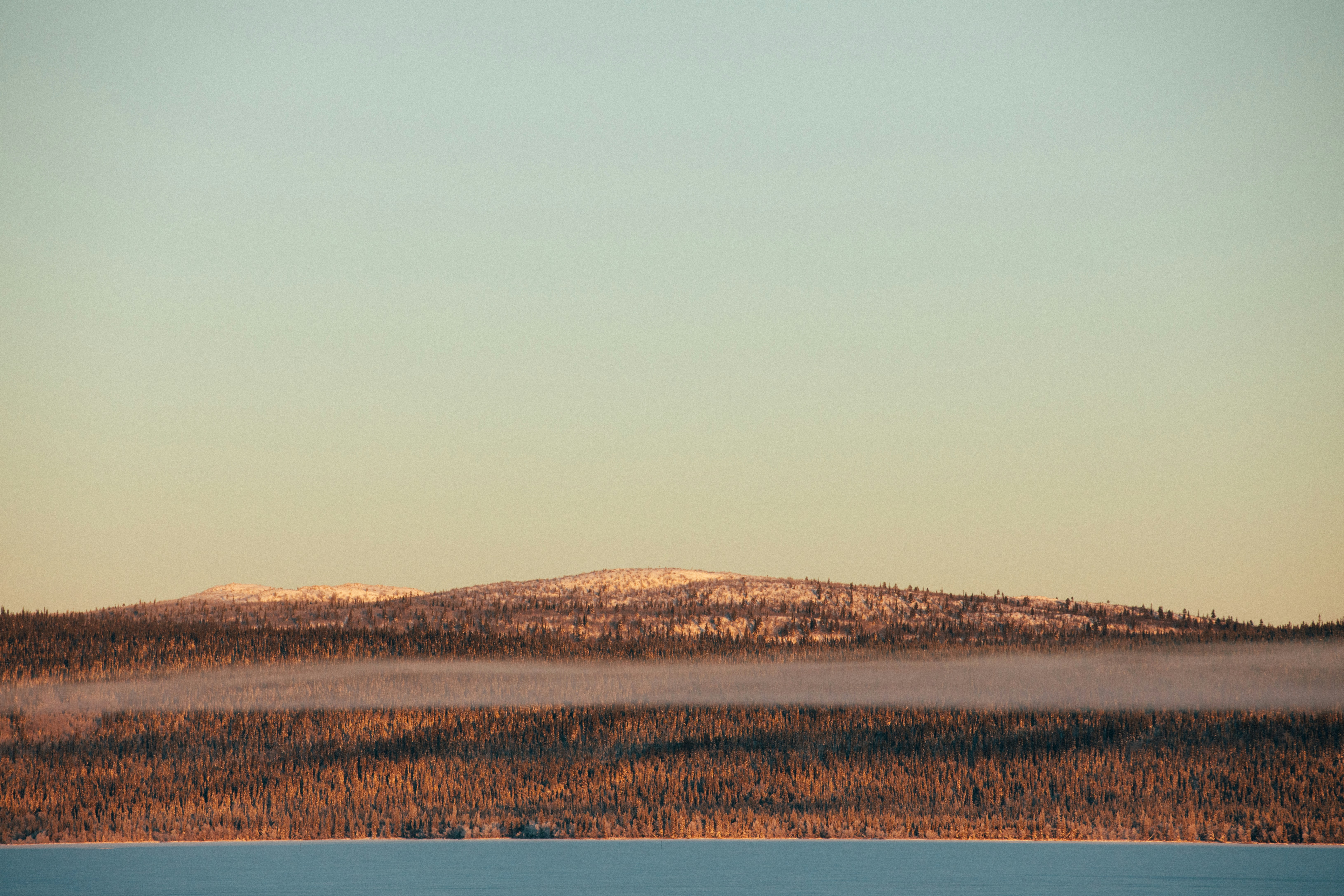 Photo by maxboettinger