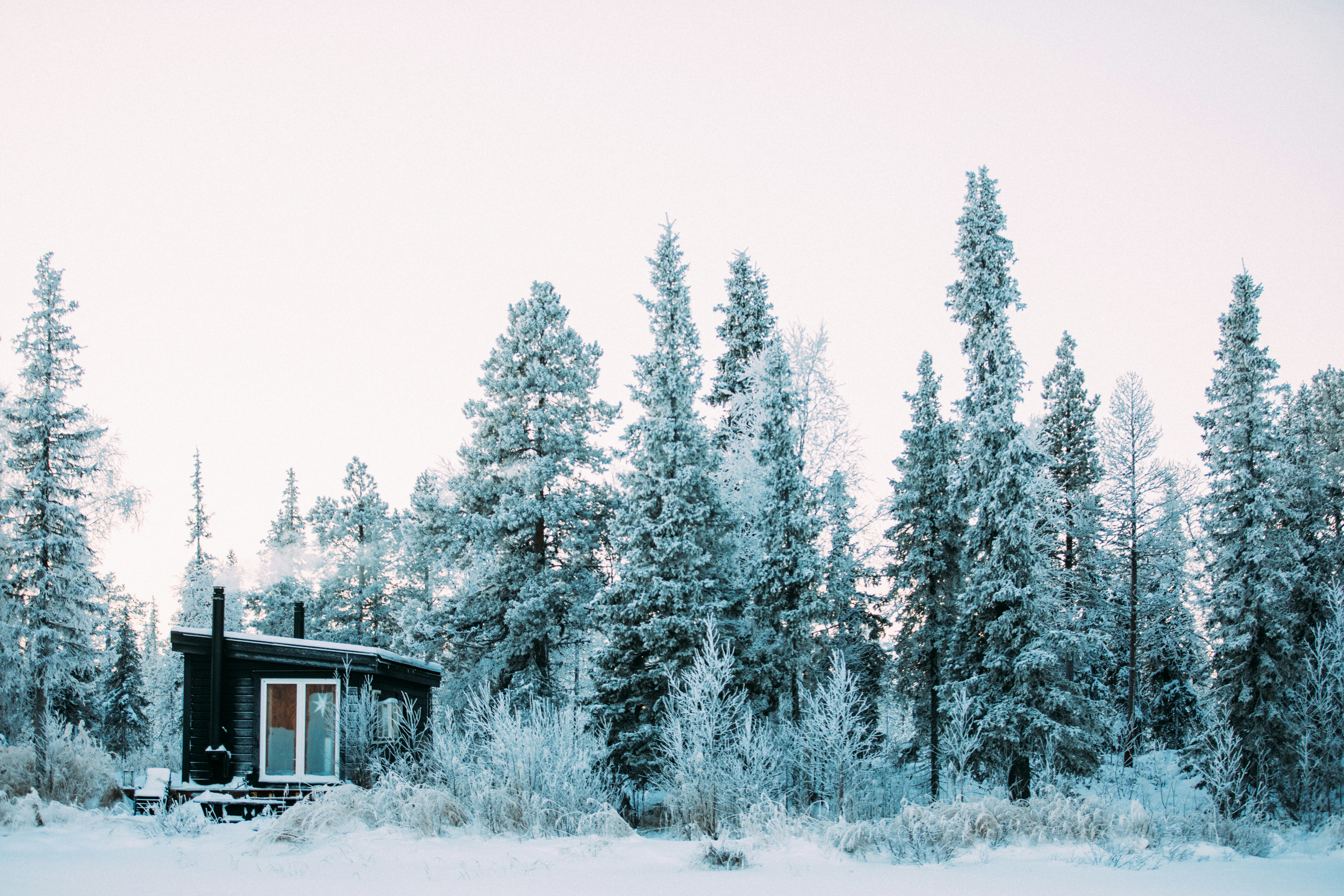 Photo by maxboettinger