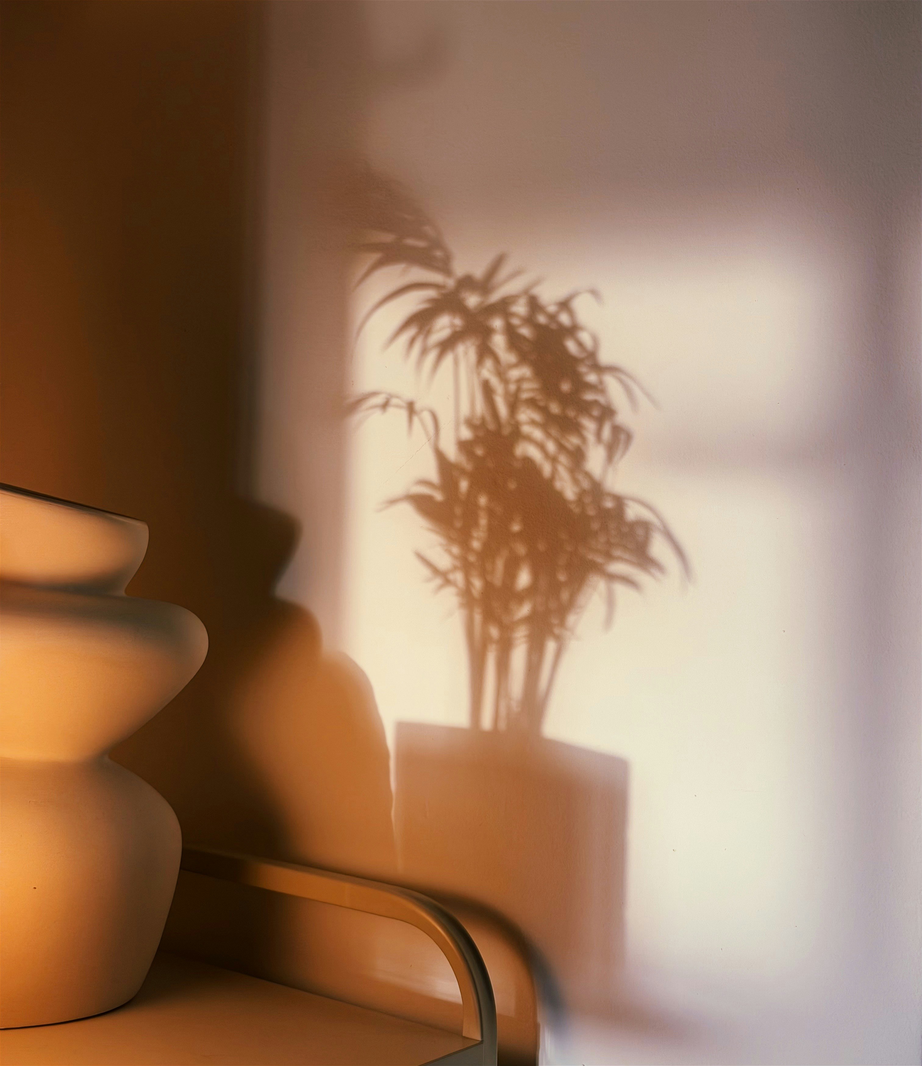 Photo by danisalmeida