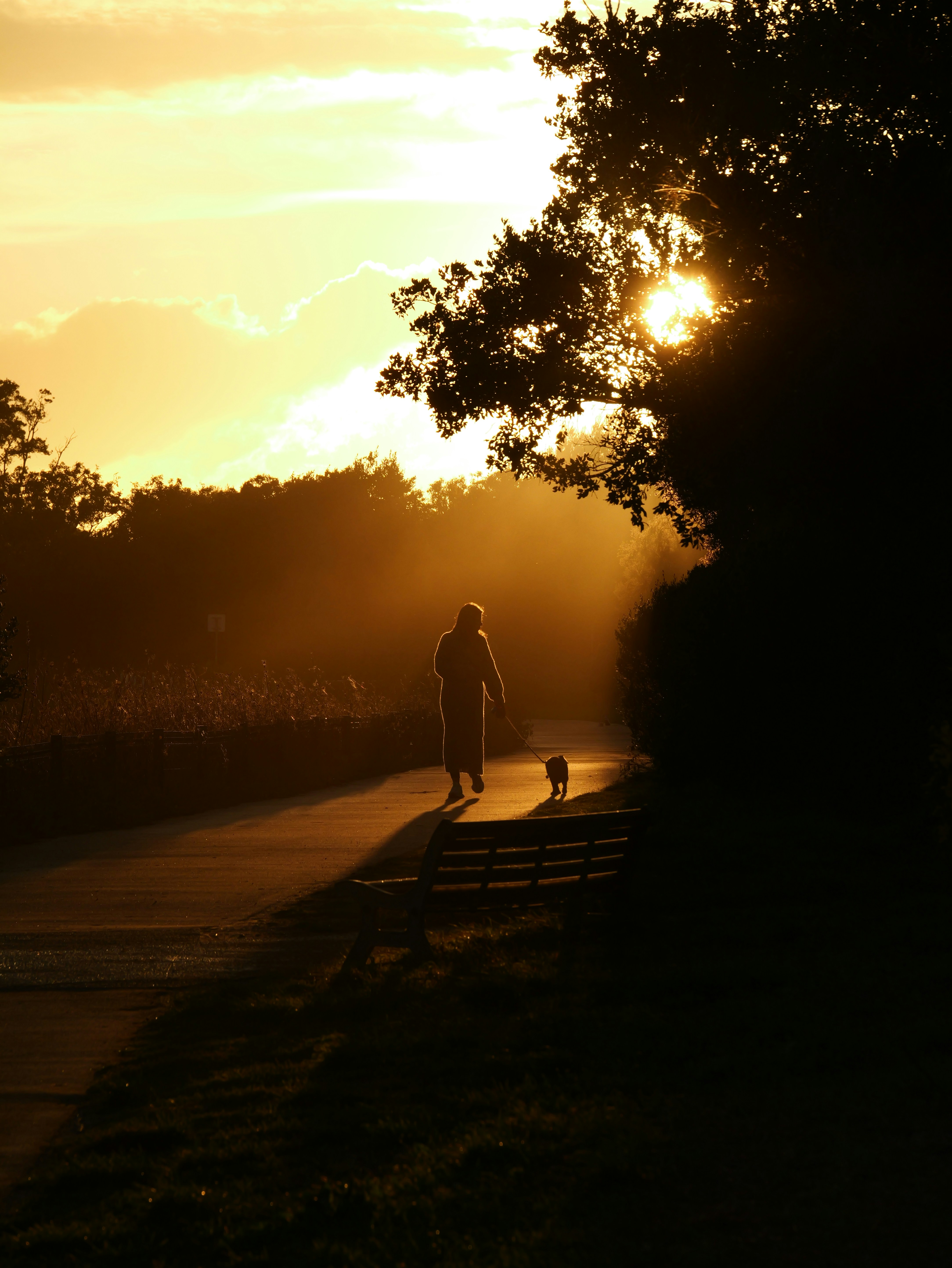 Photo by nimbus_vulpis