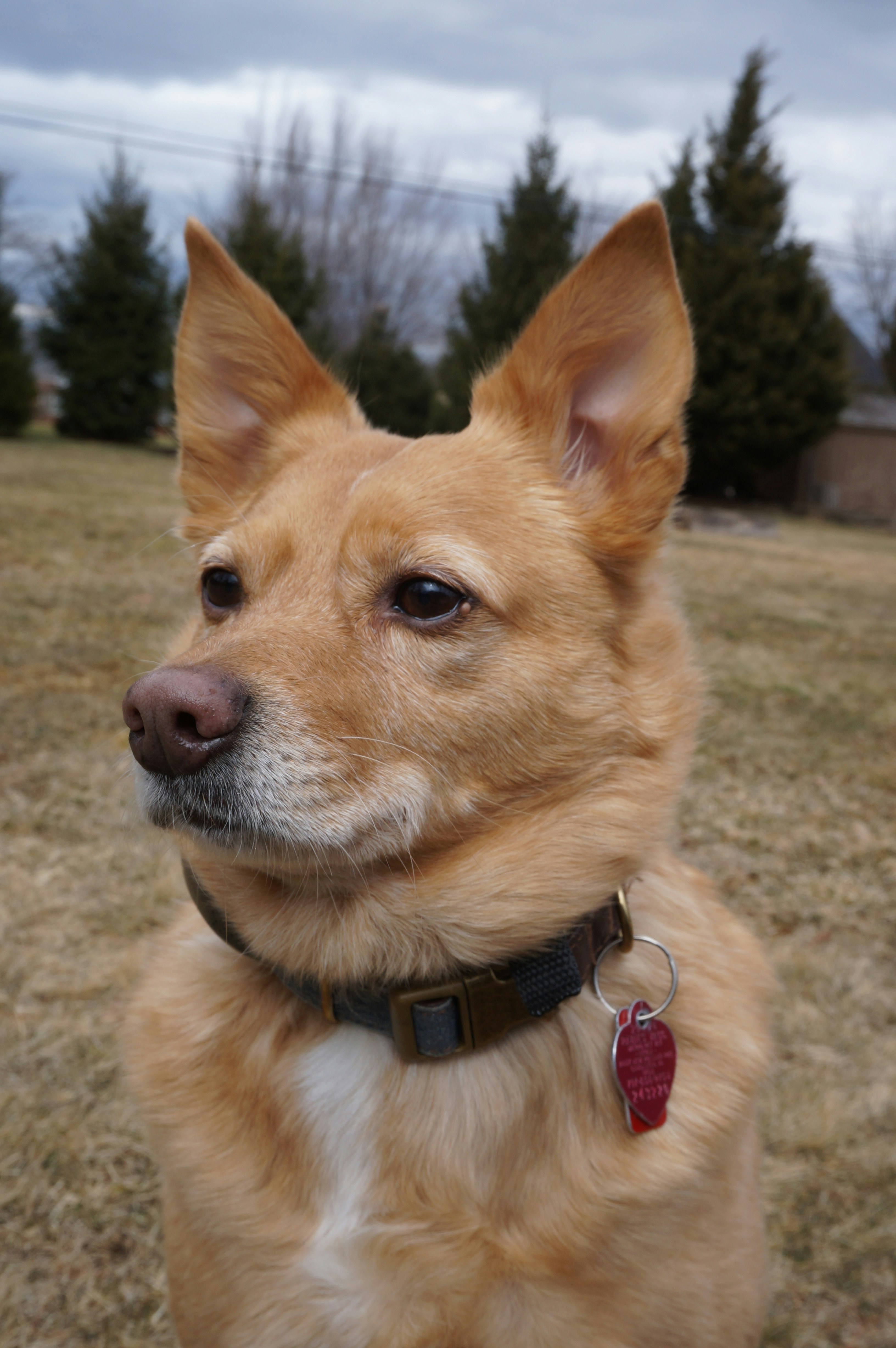 Photo by sugargirl333