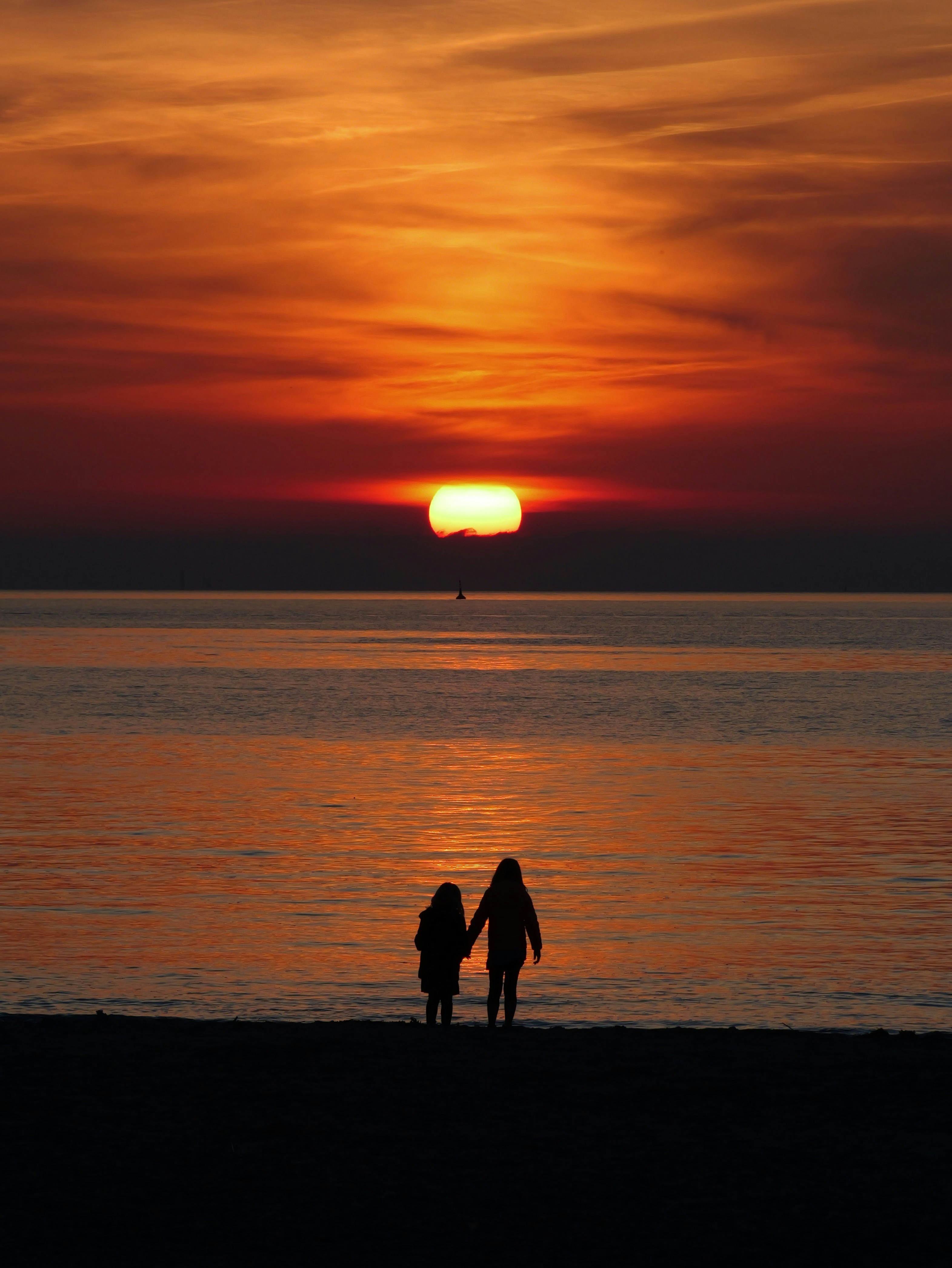 Photo by nimbus_vulpis