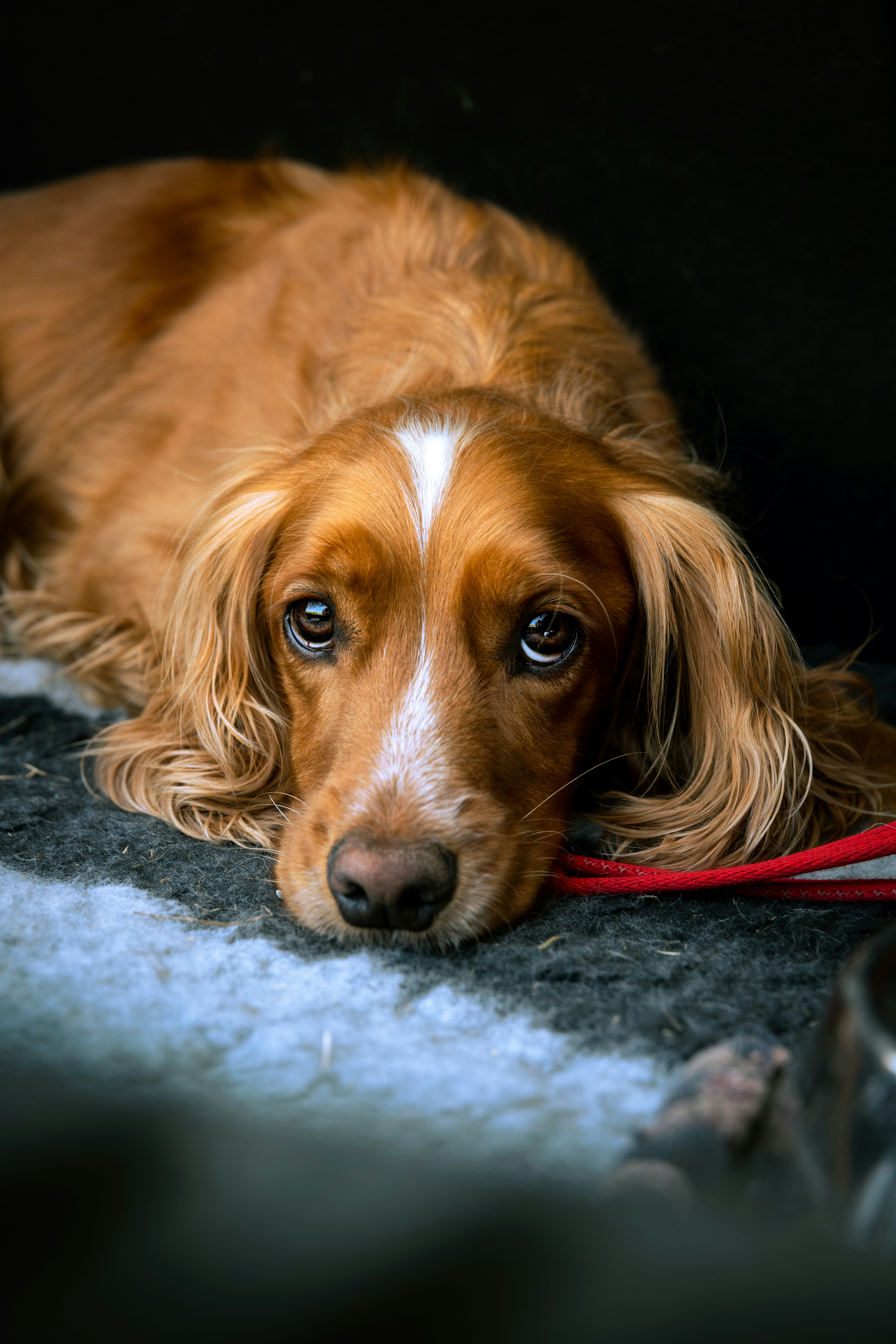 Photo by instinctive_media