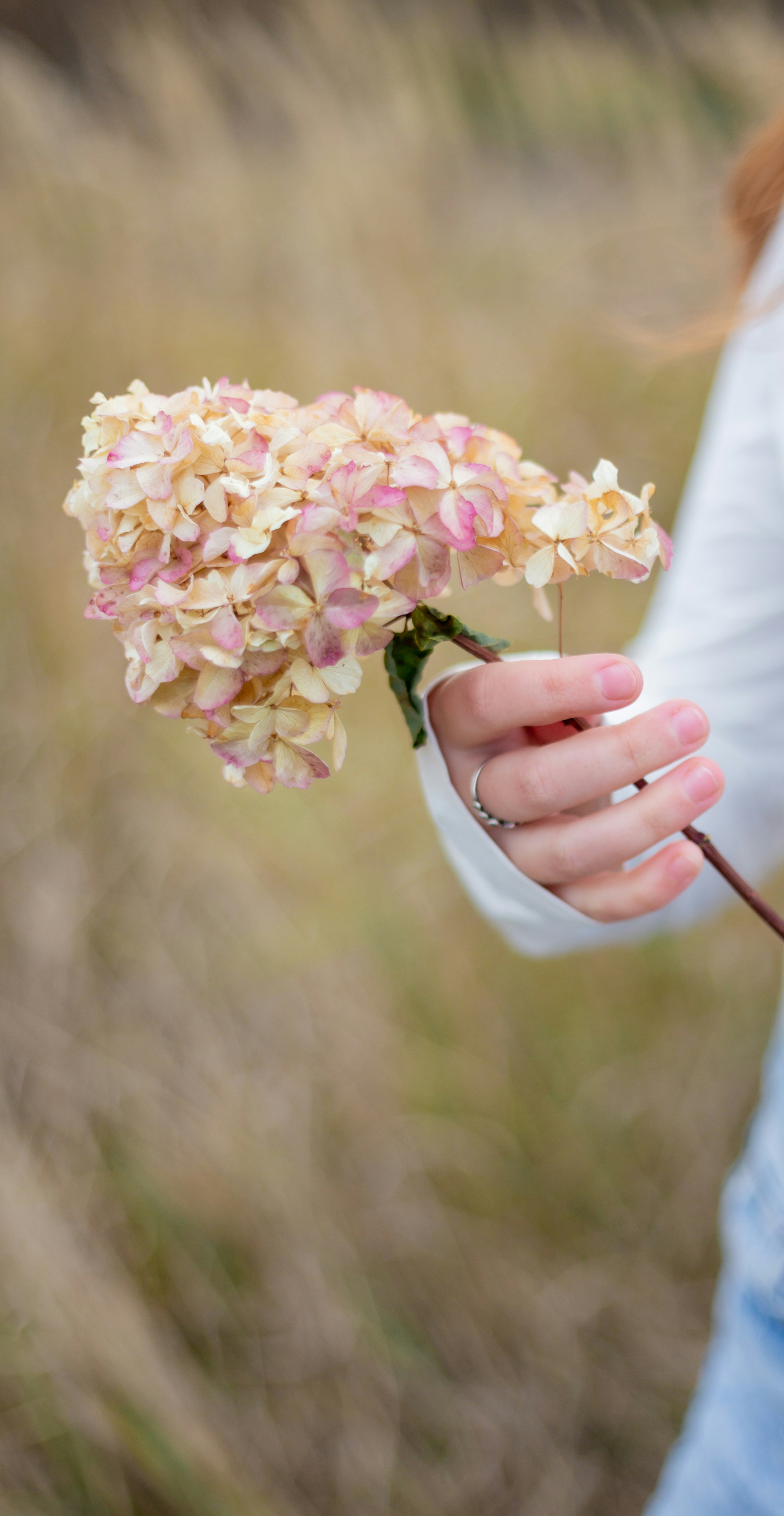 Photo by theprototype