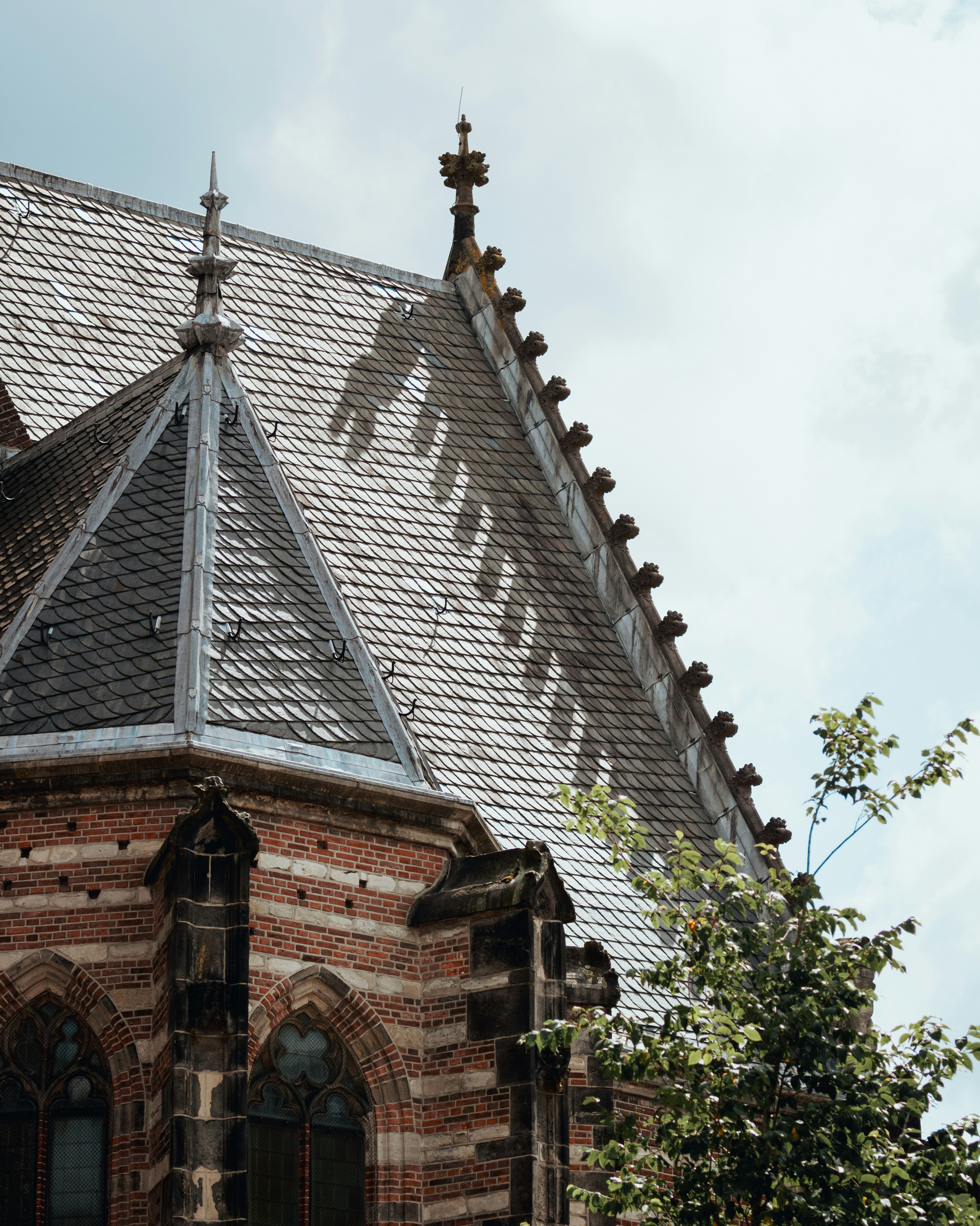 Photo by ssarasframes