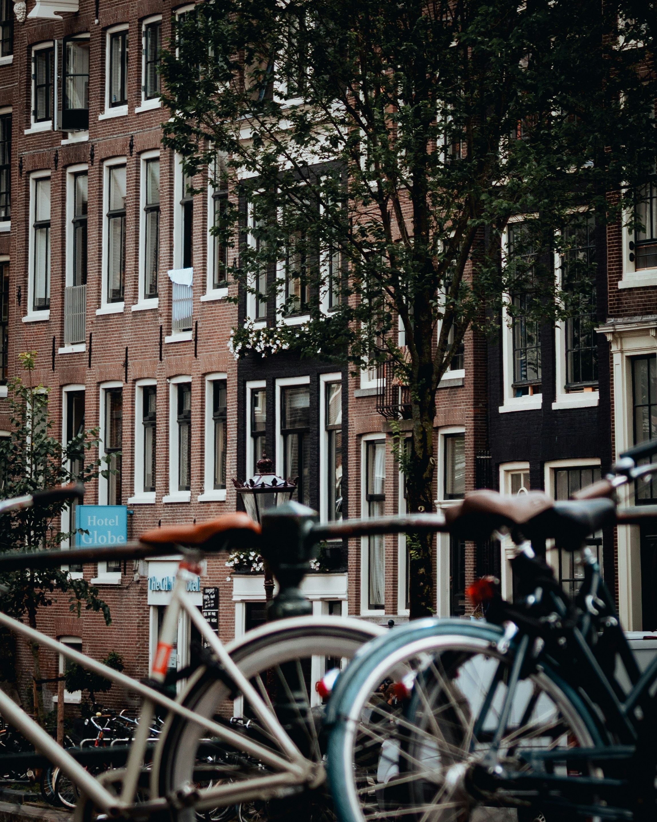 Photo by ssarasframes