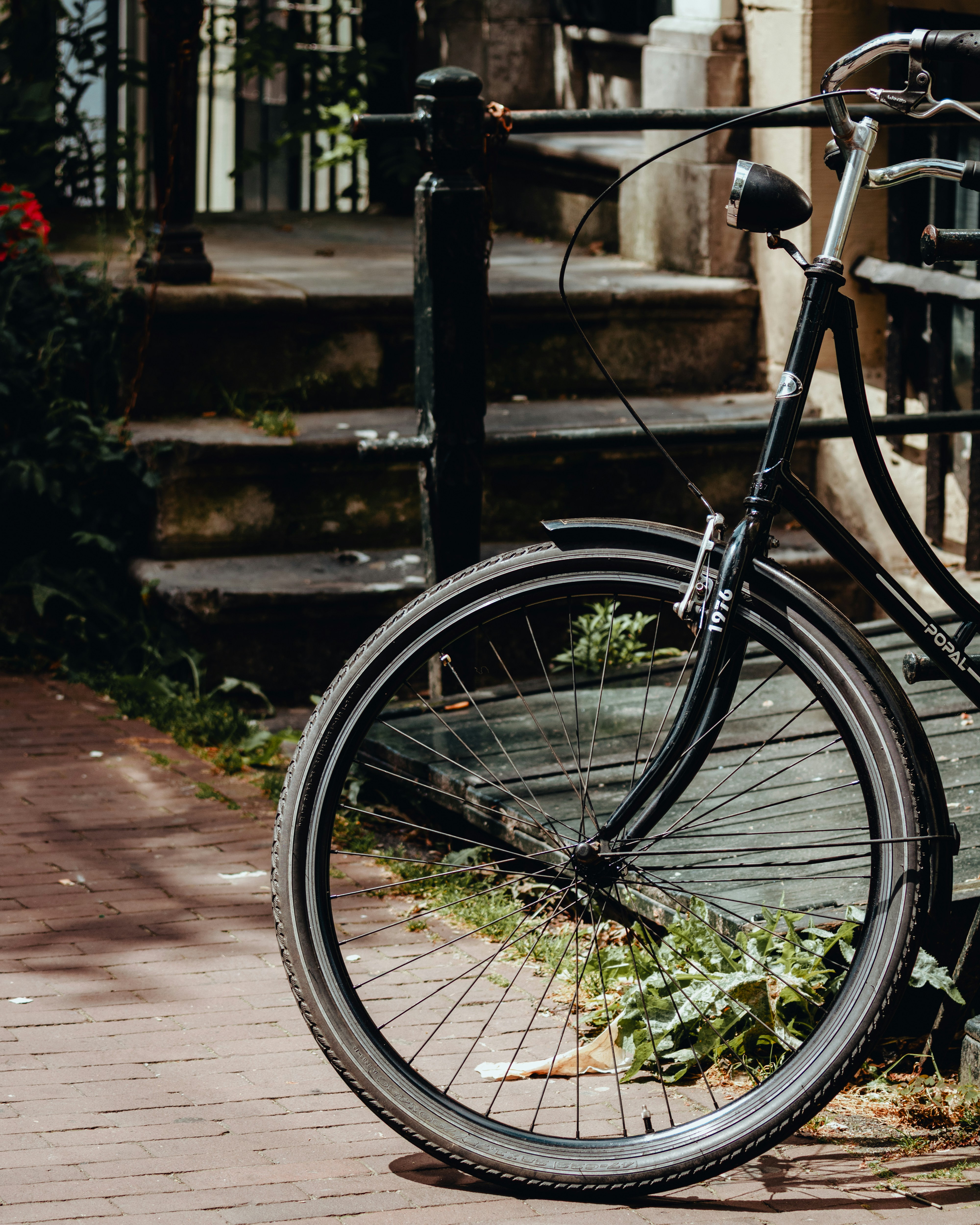 Photo by ssarasframes