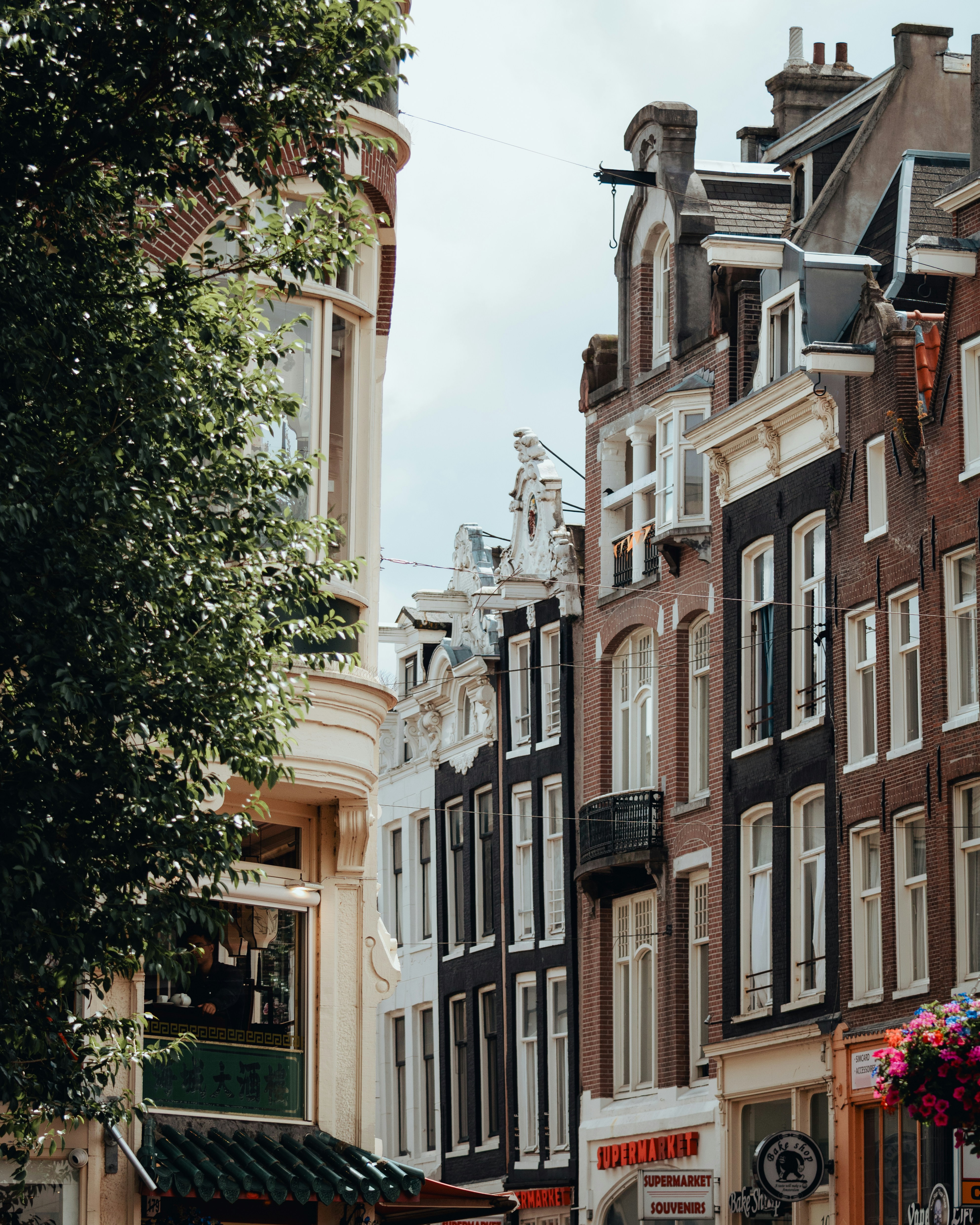 Photo by ssarasframes