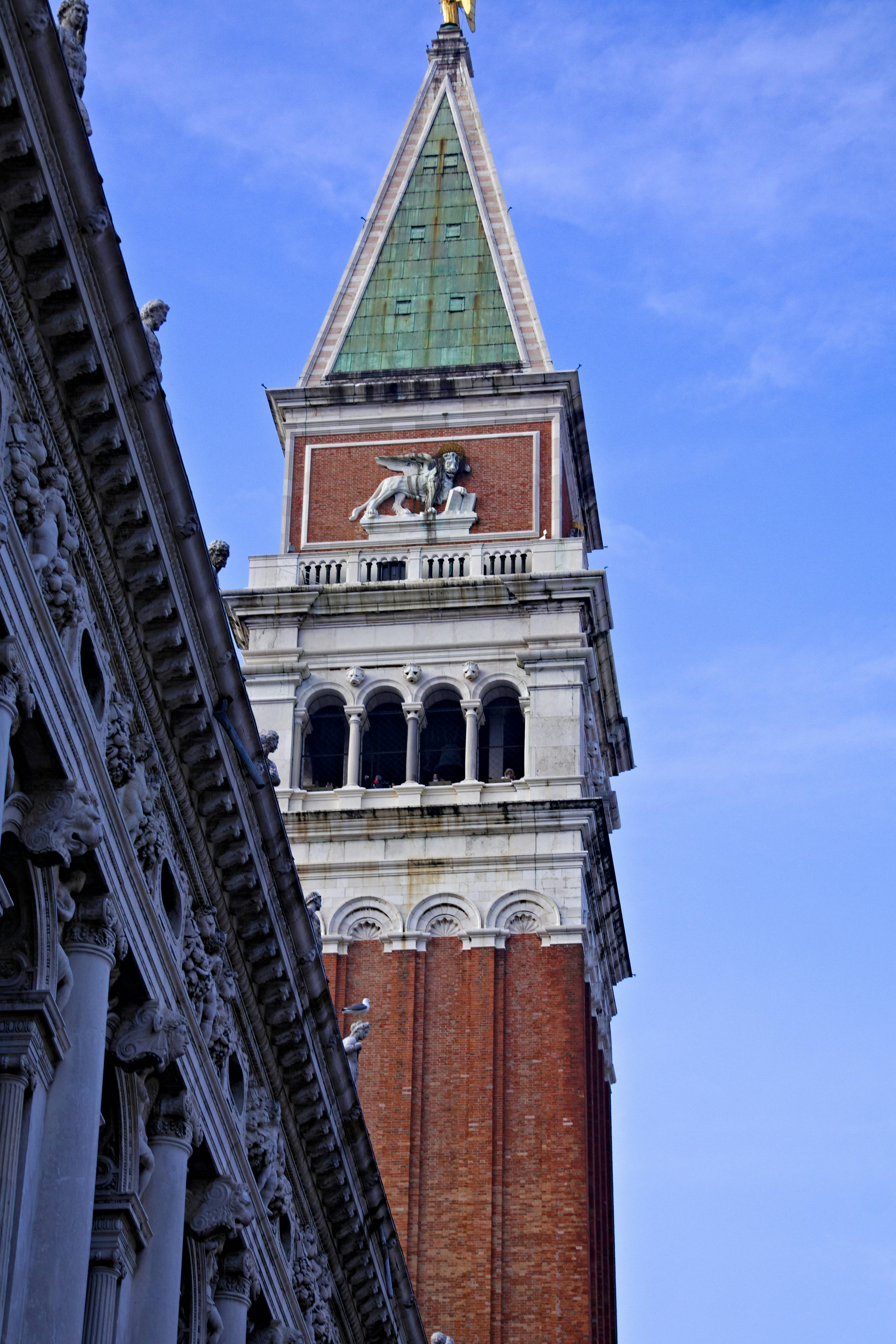 Photo by fedingo13_photography