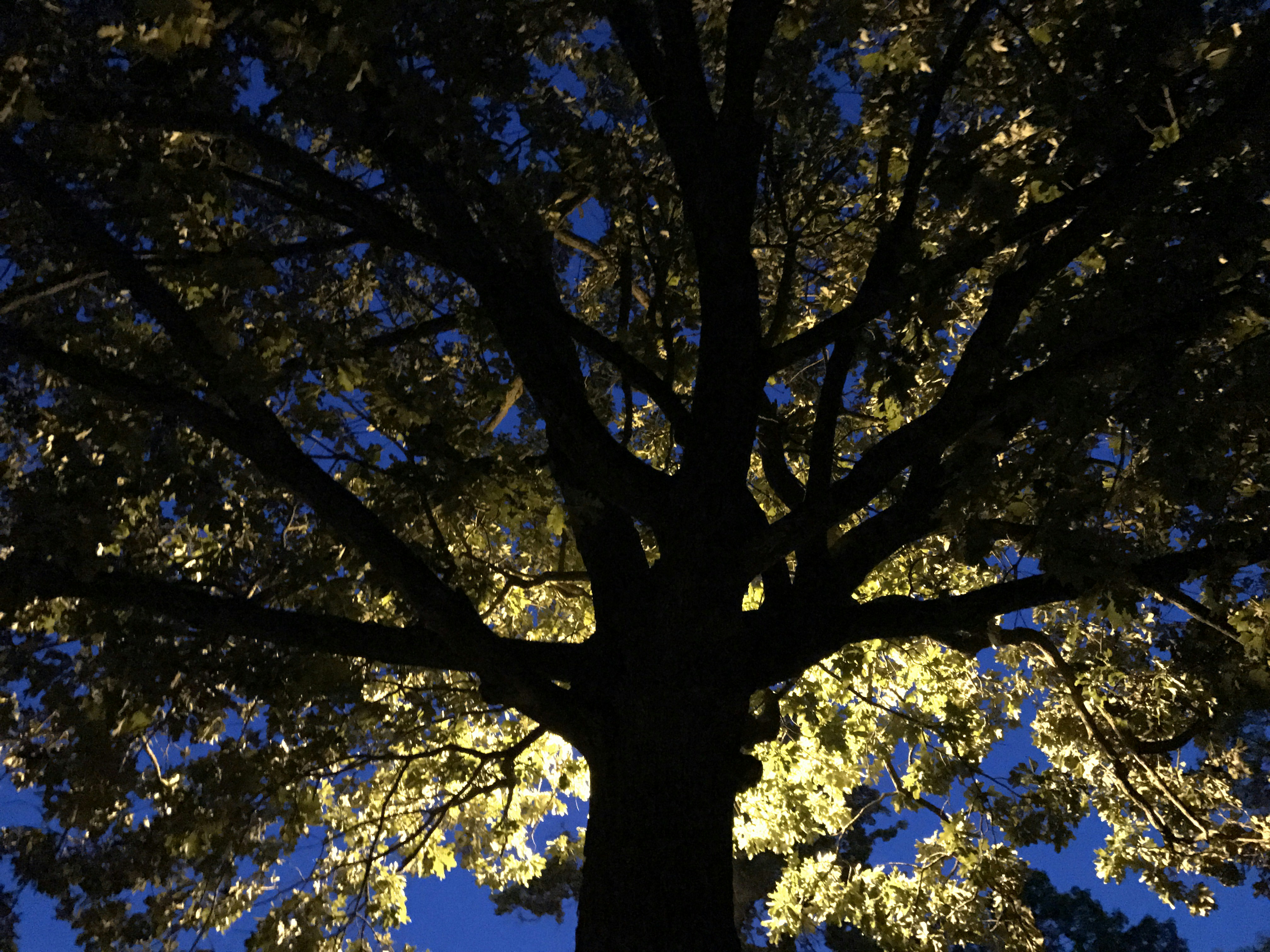 Photo by adamblueorange