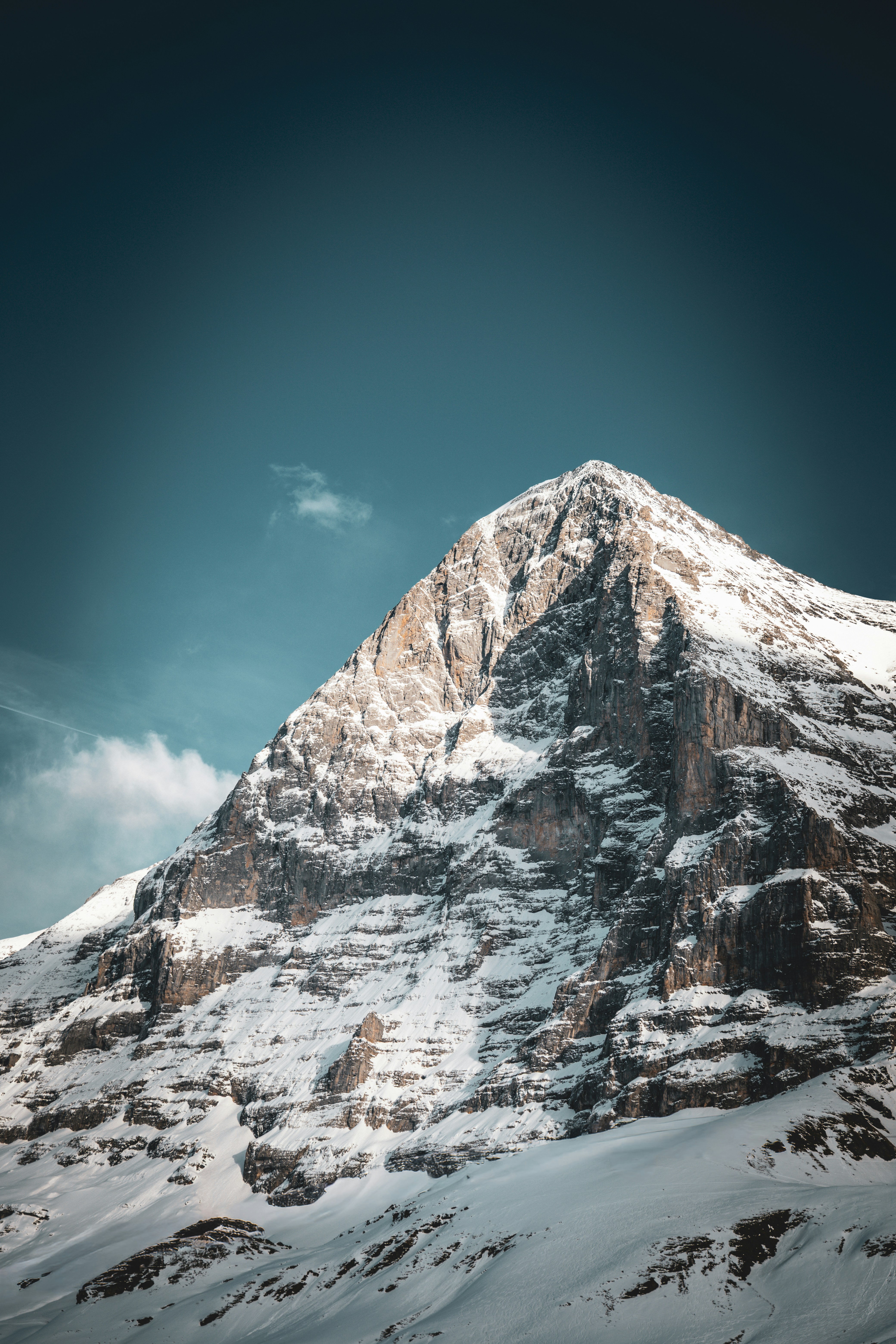 Photo by janis_photography