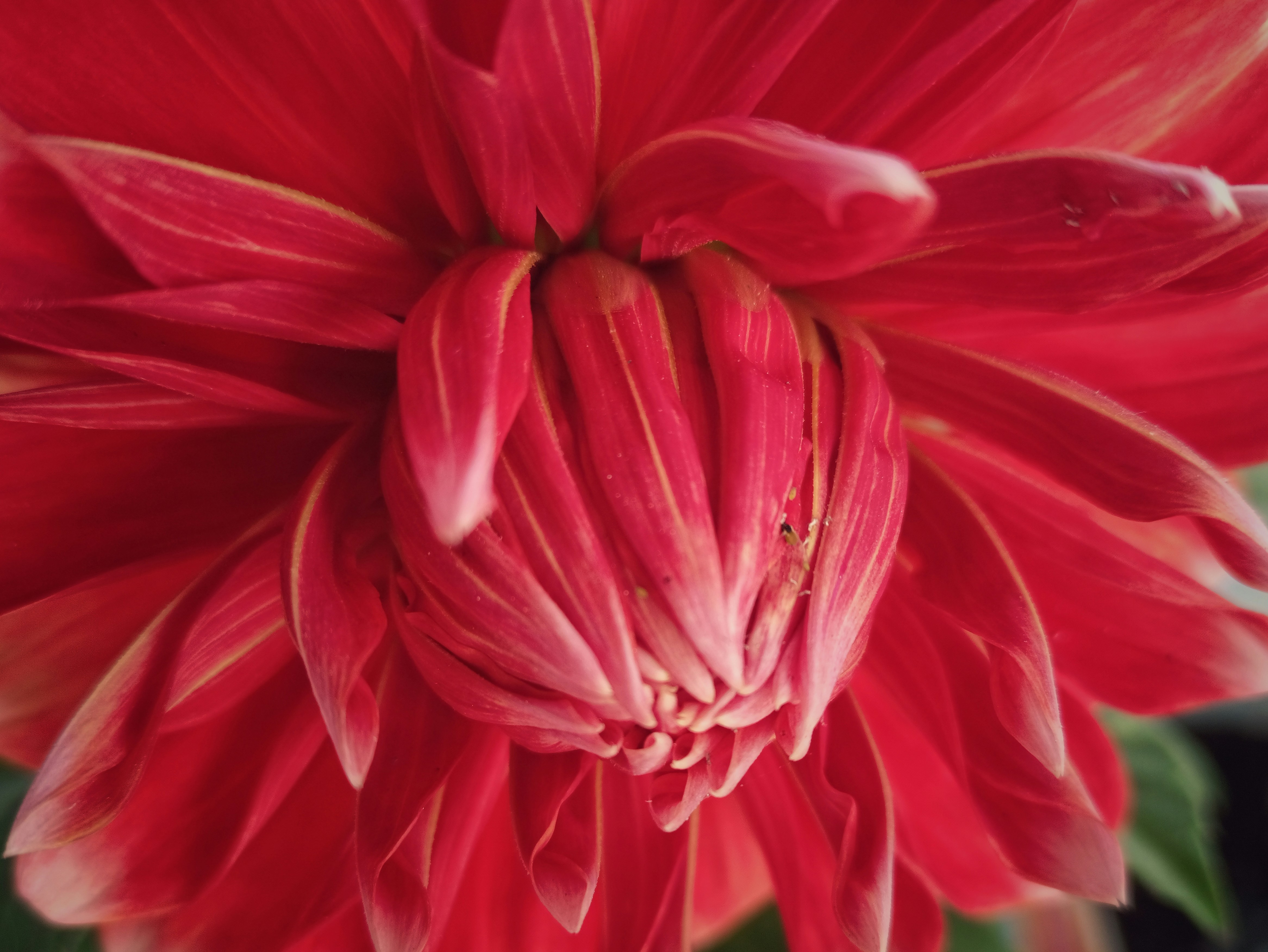 Photo by boywidlens_