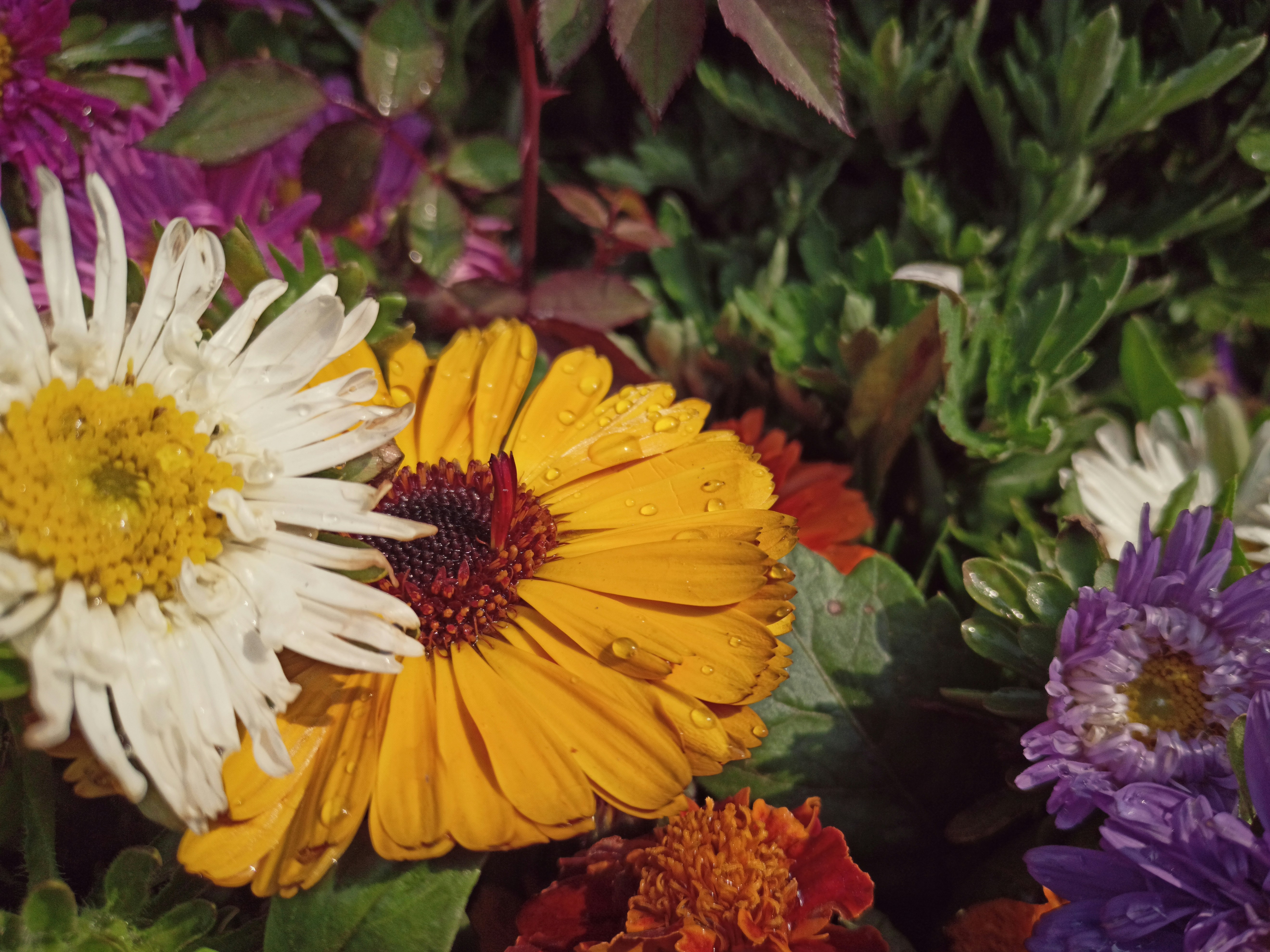 Photo by boywidlens_