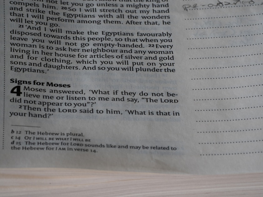 How Would You Handle a Recession? 4 Personality Types Revealed