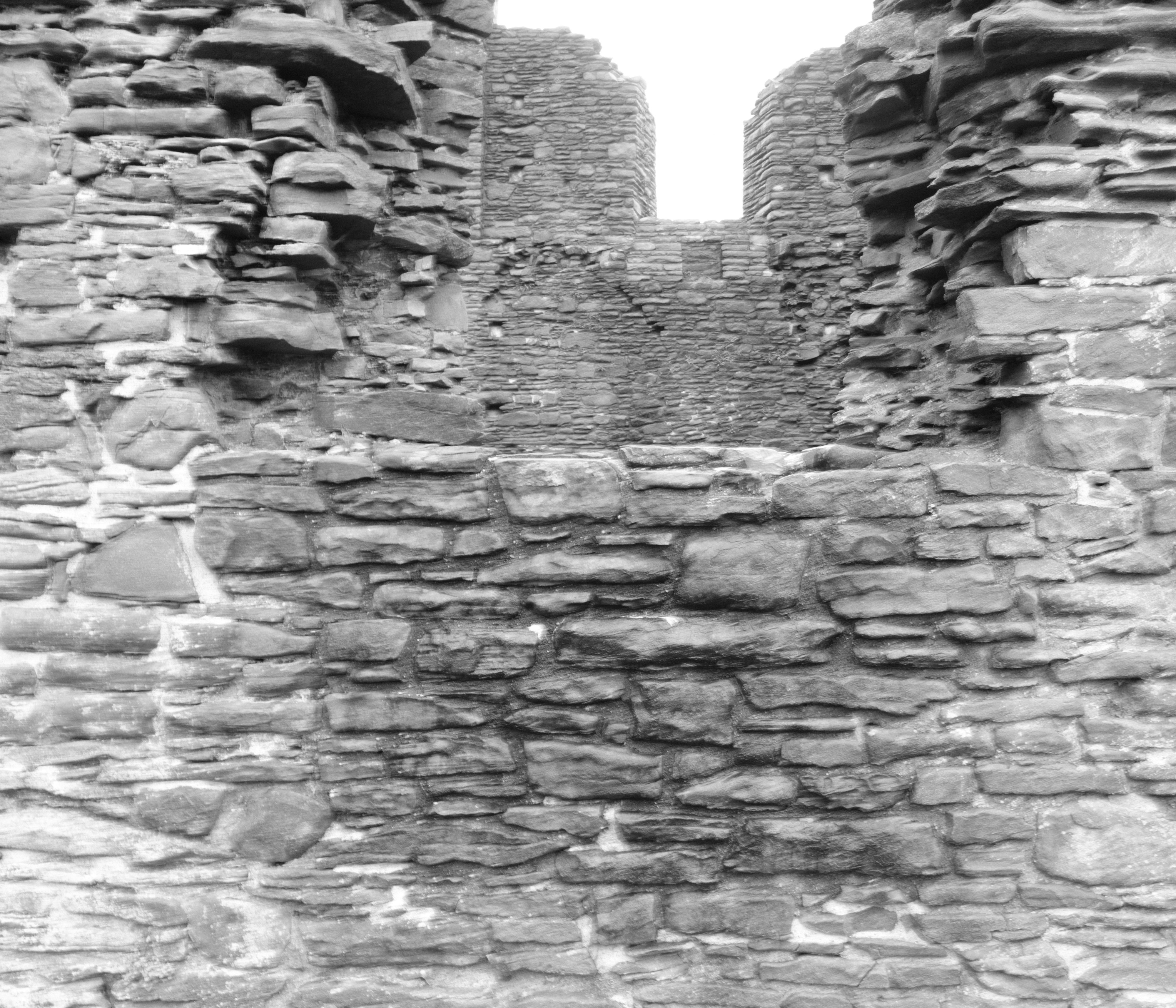 Photo by tanyabarrow