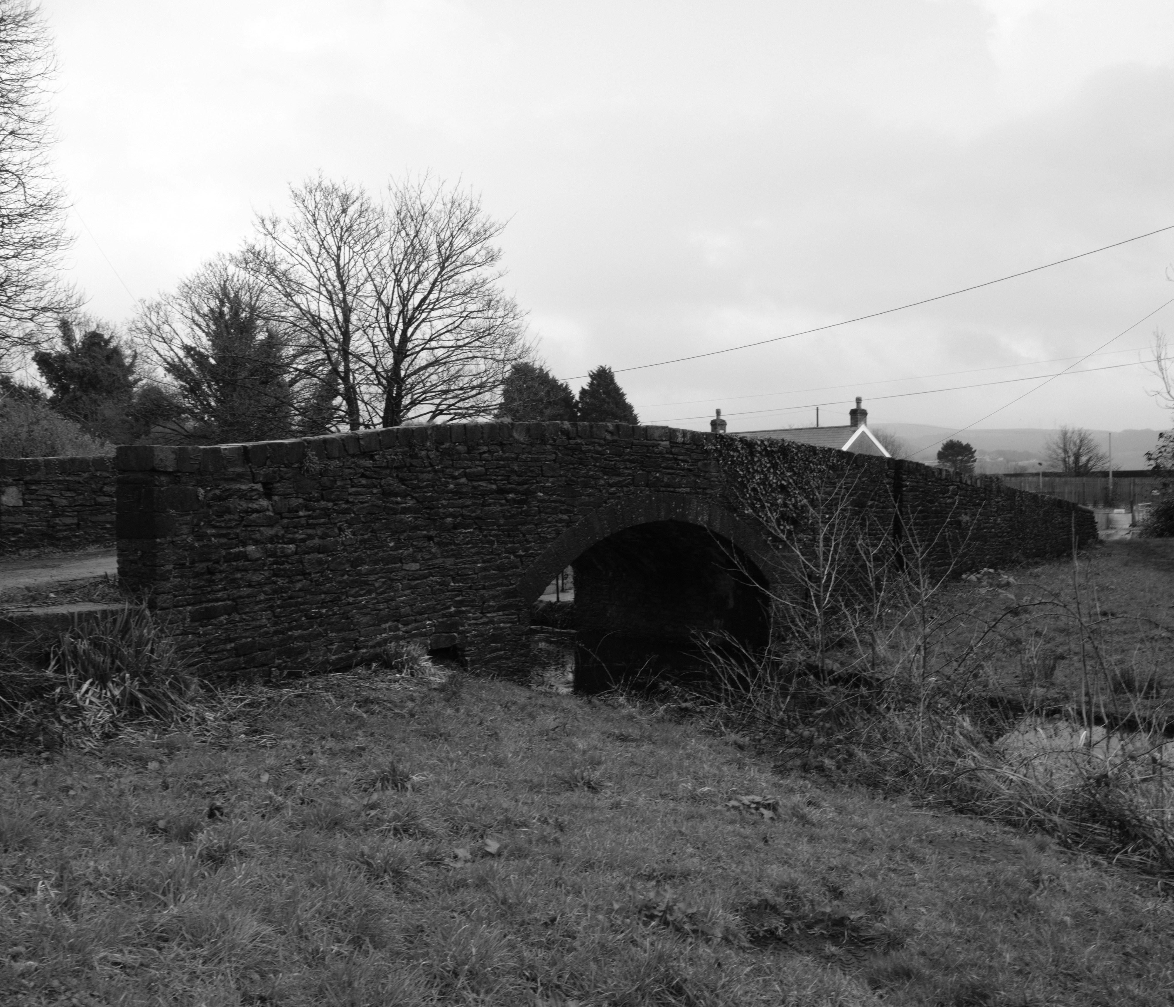 Photo by tanyabarrow