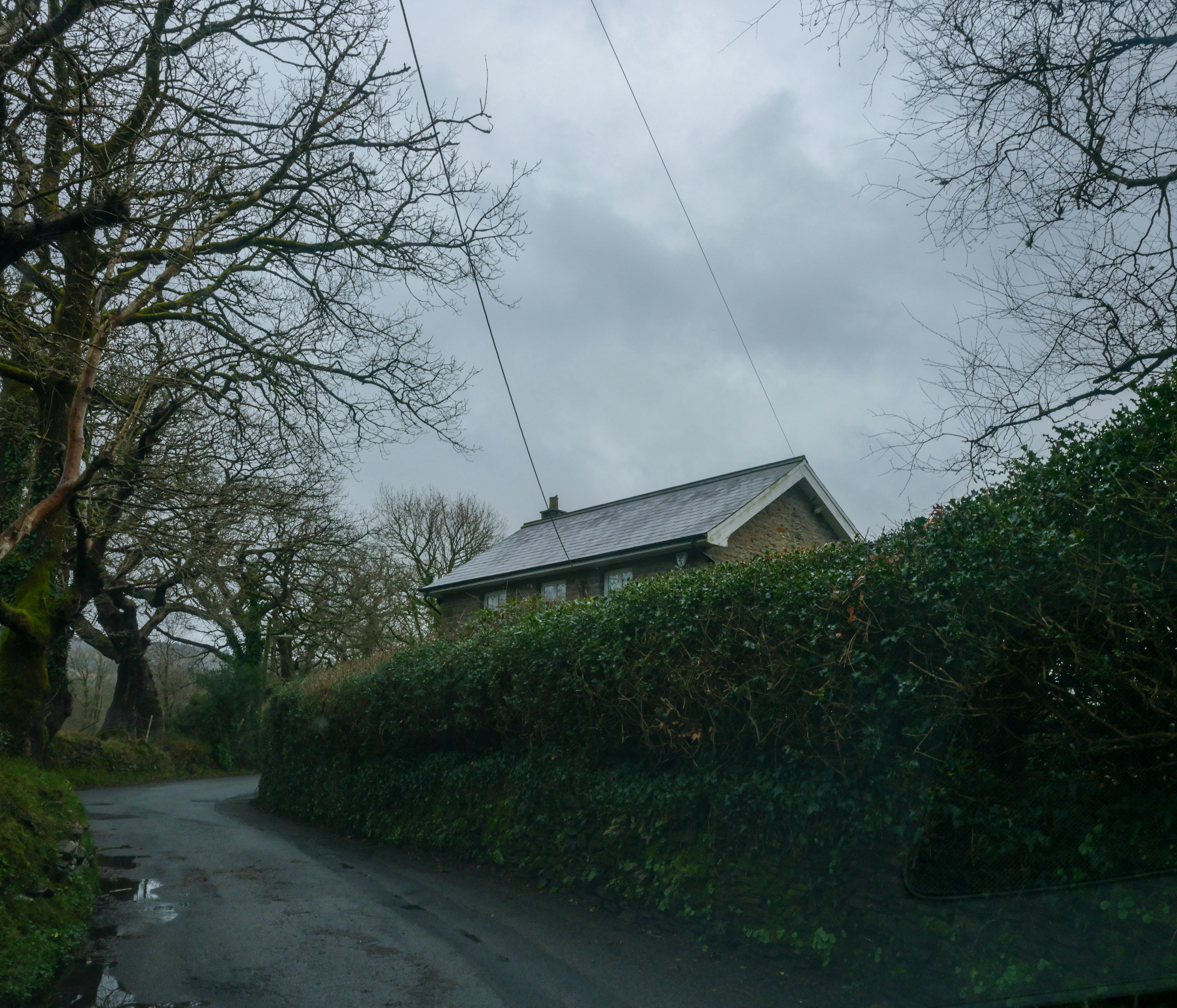 Photo by tanyabarrow