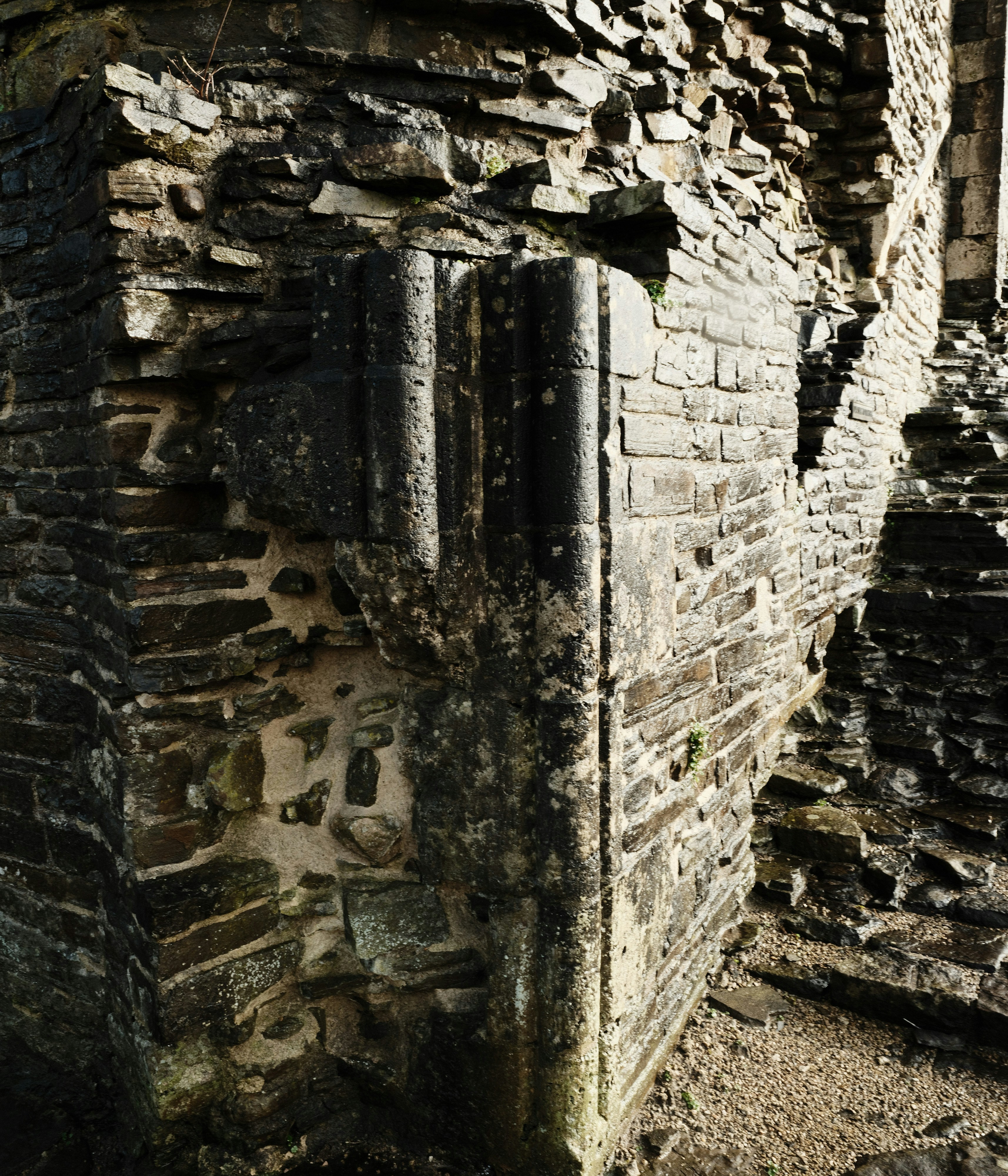 Photo by tanyabarrow