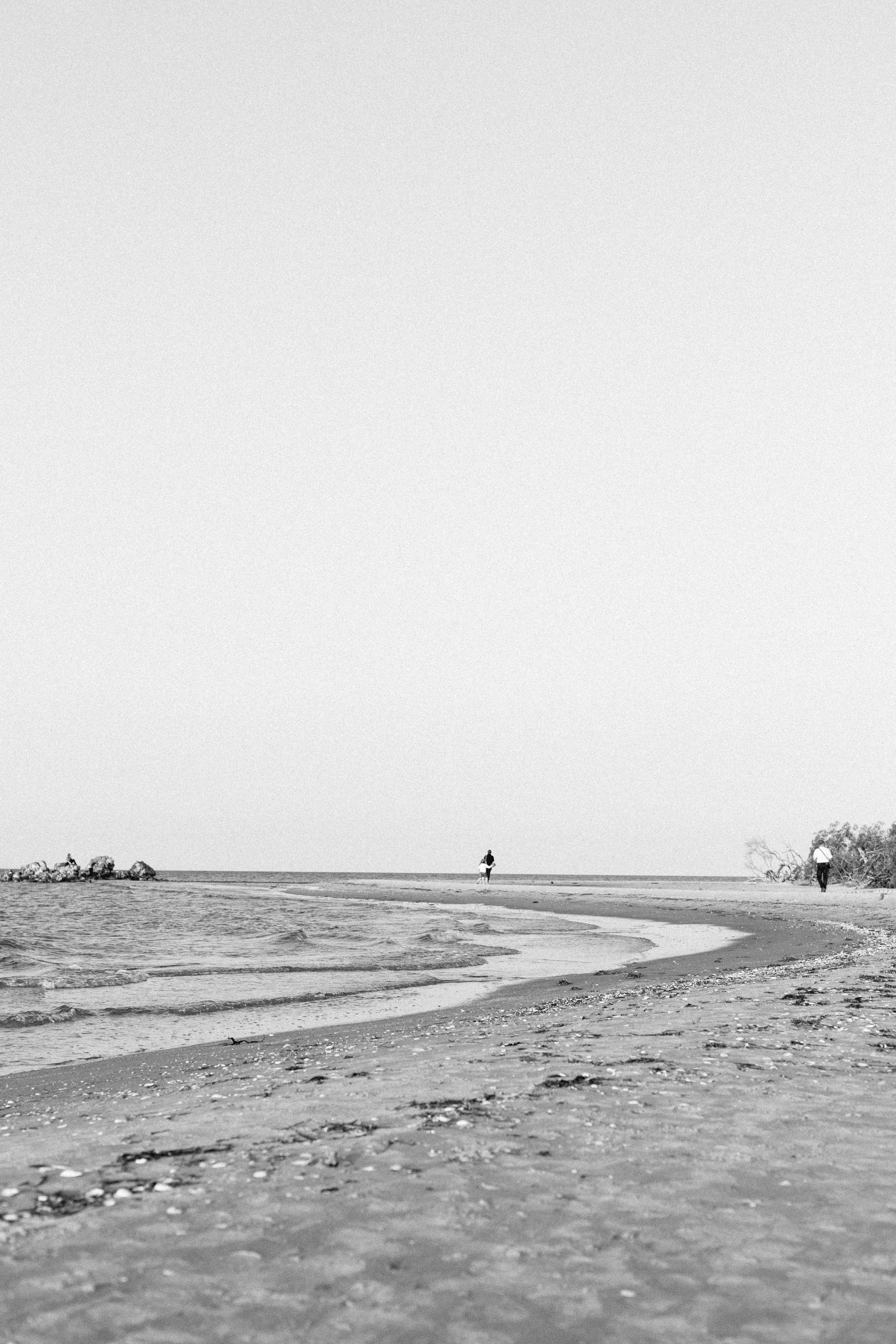 Photo by agneserudzite