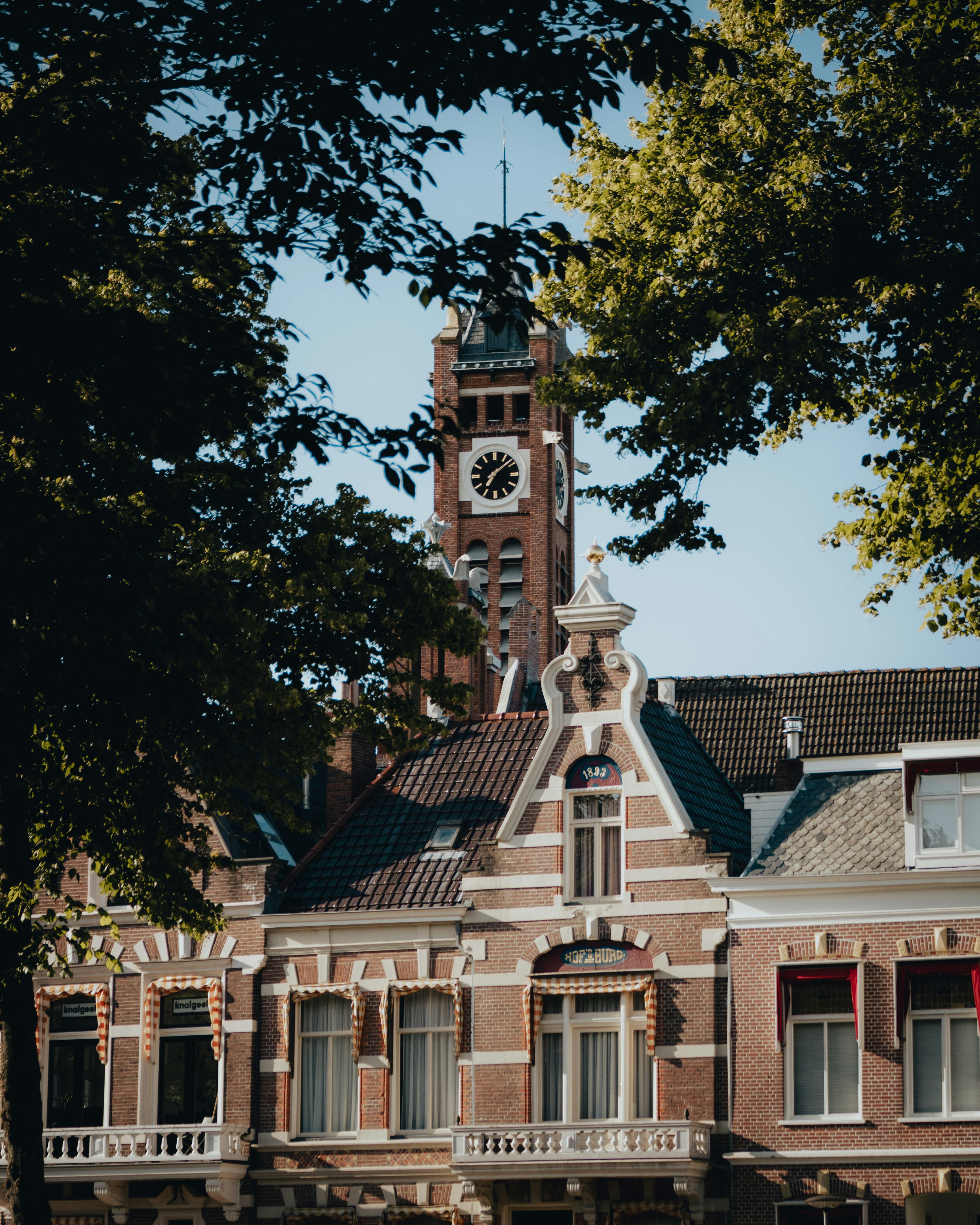 Photo by ssarasframes