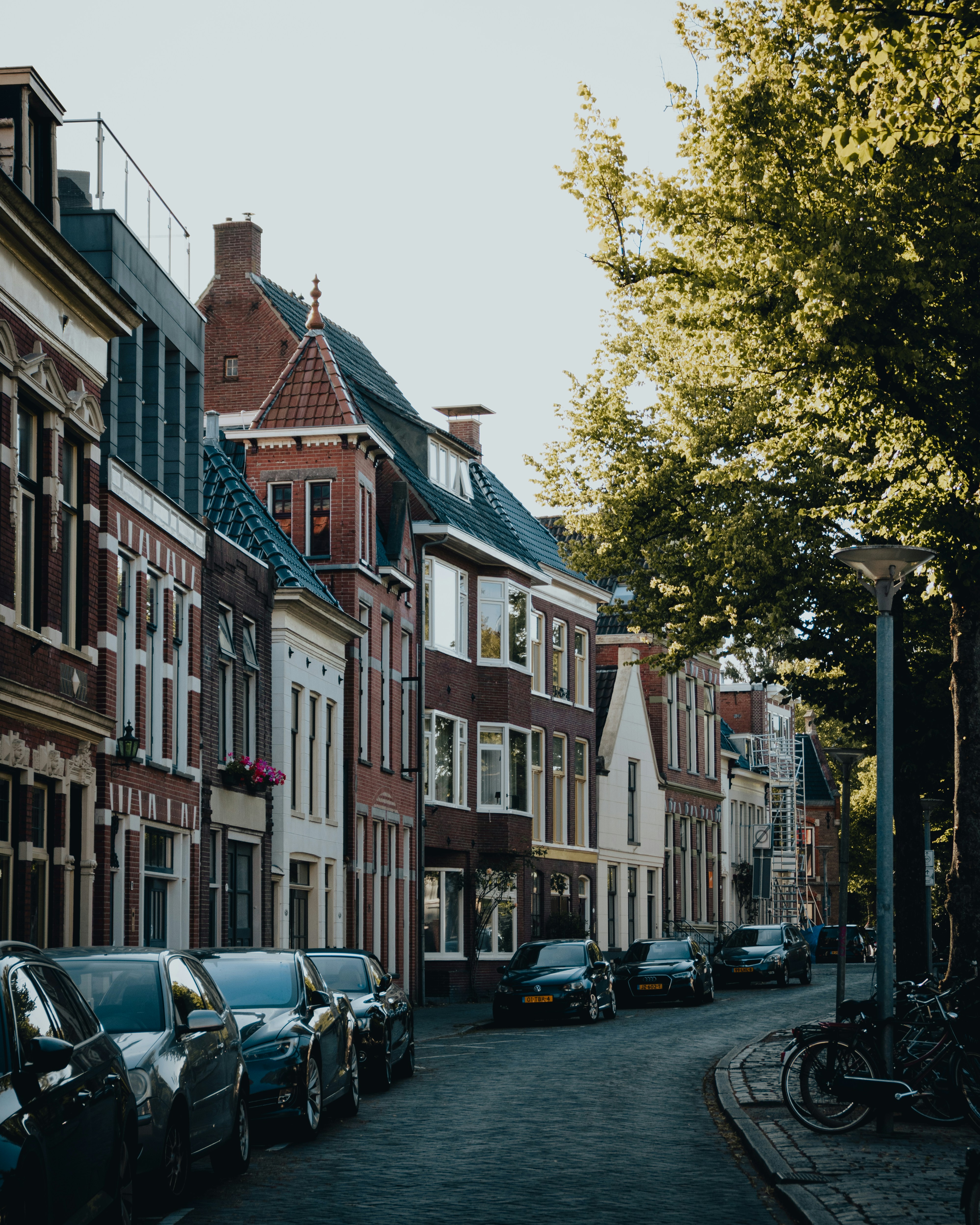 Photo by ssarasframes