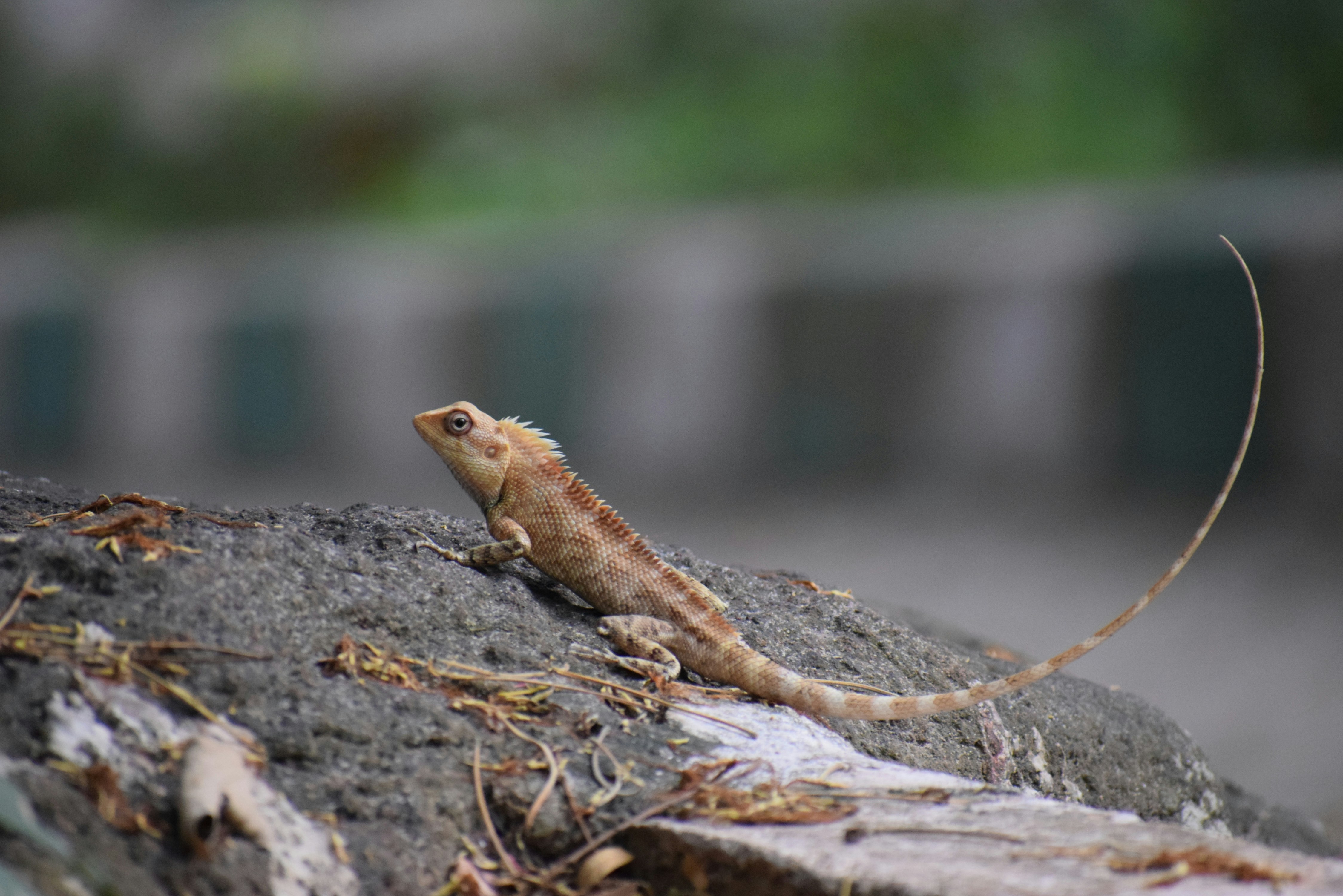 Photo by amoghrathod