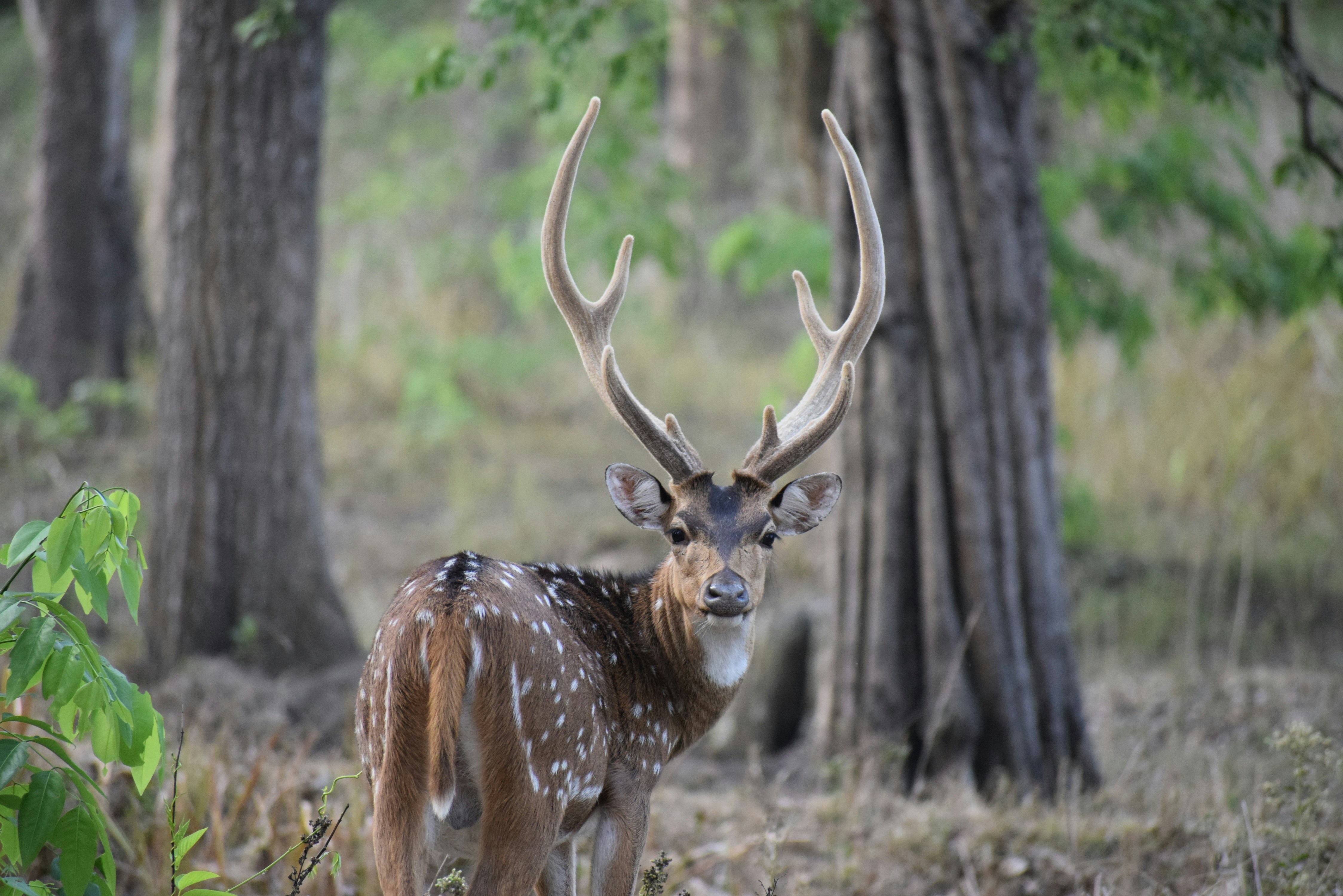 Photo by amoghrathod