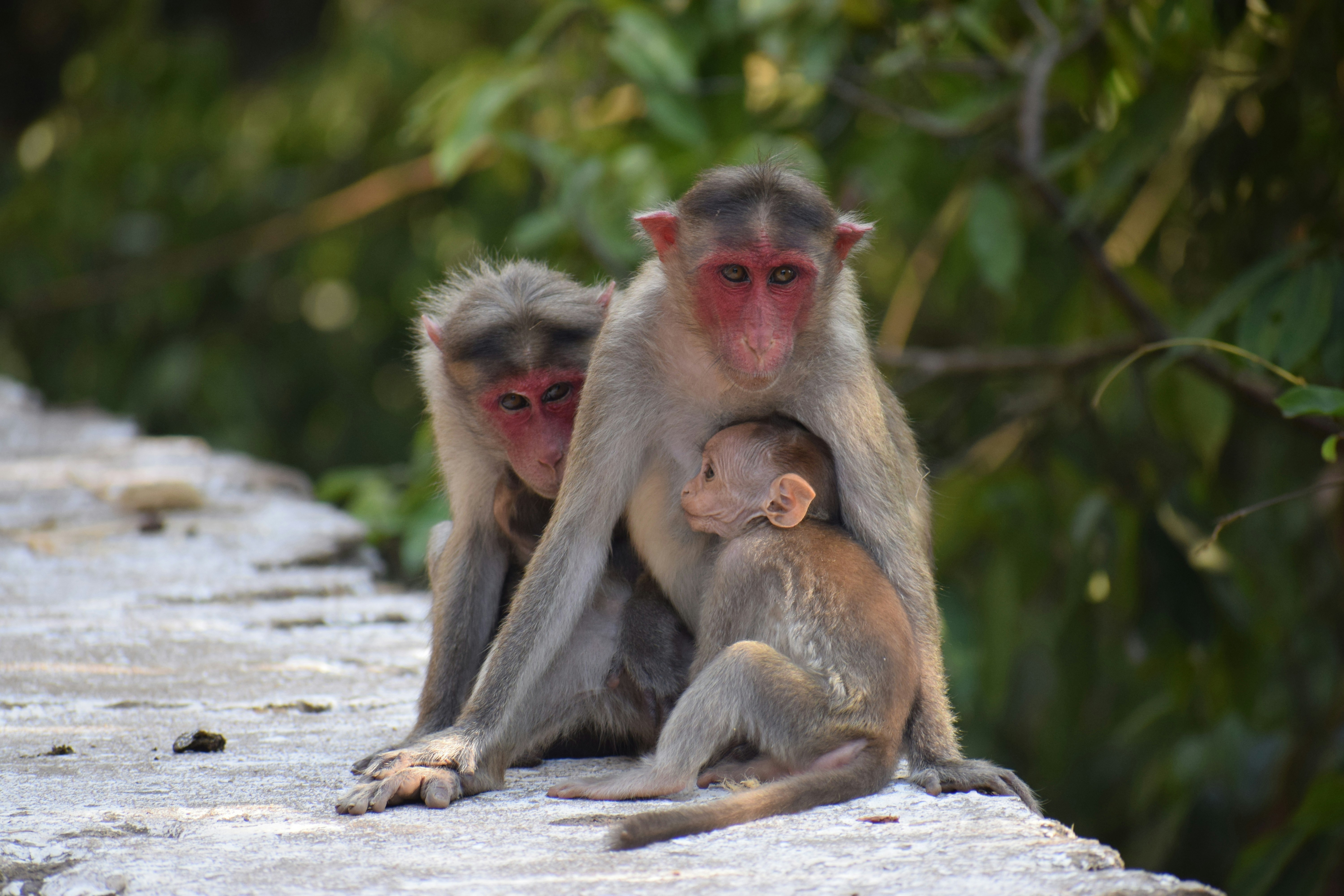 Photo by amoghrathod