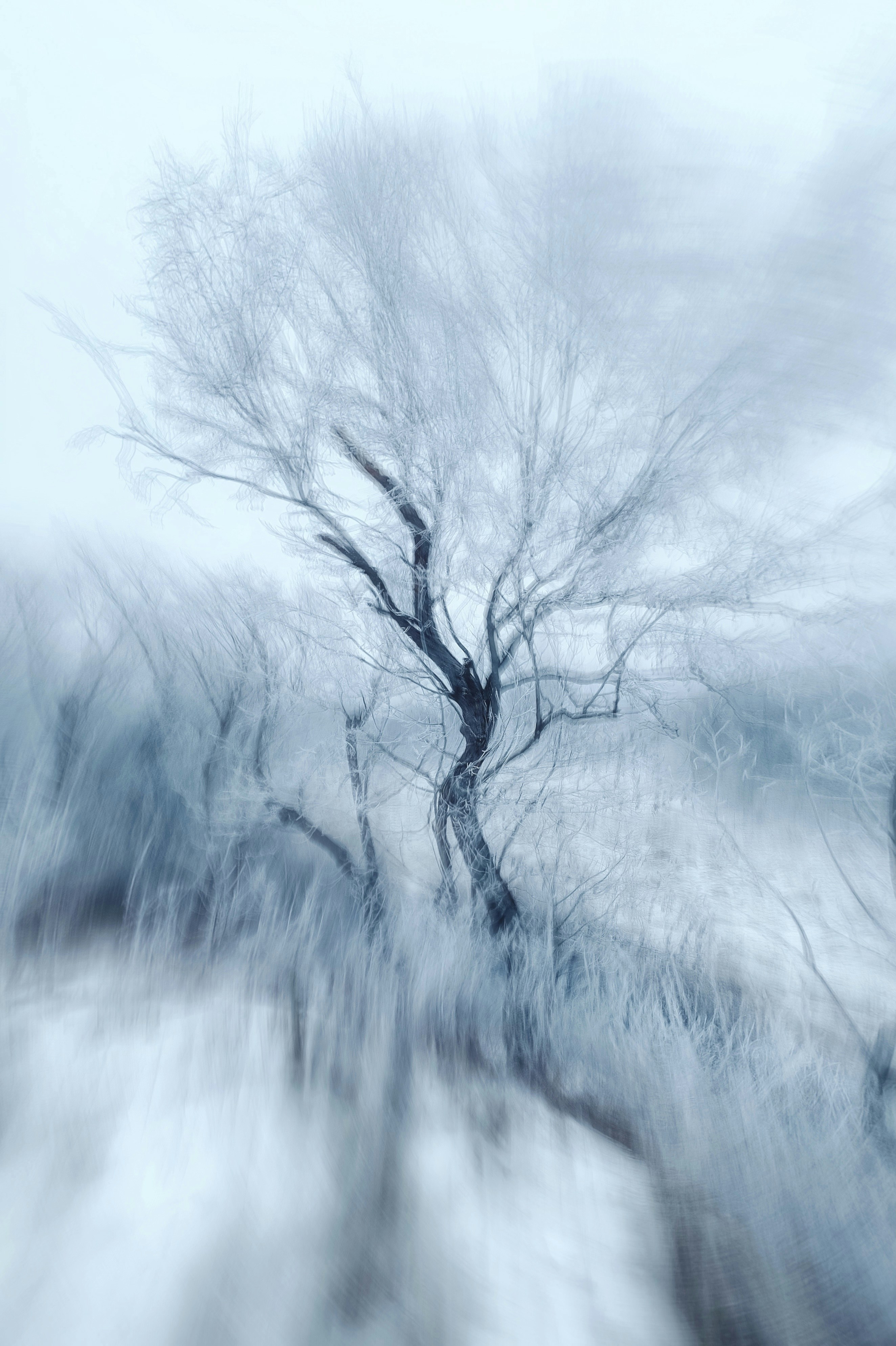 Photo by eugene_golovesov