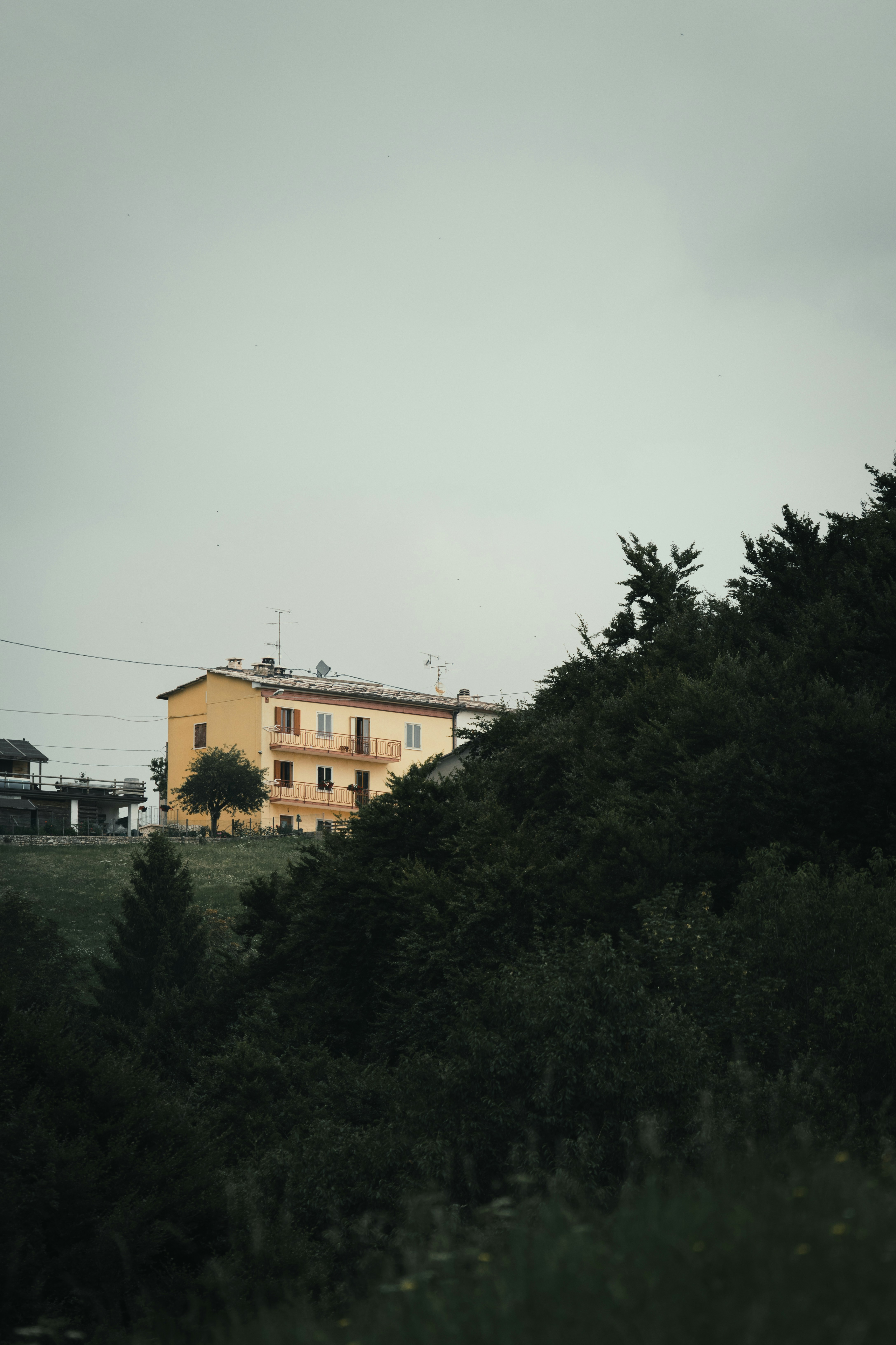 Photo by ssarasframes