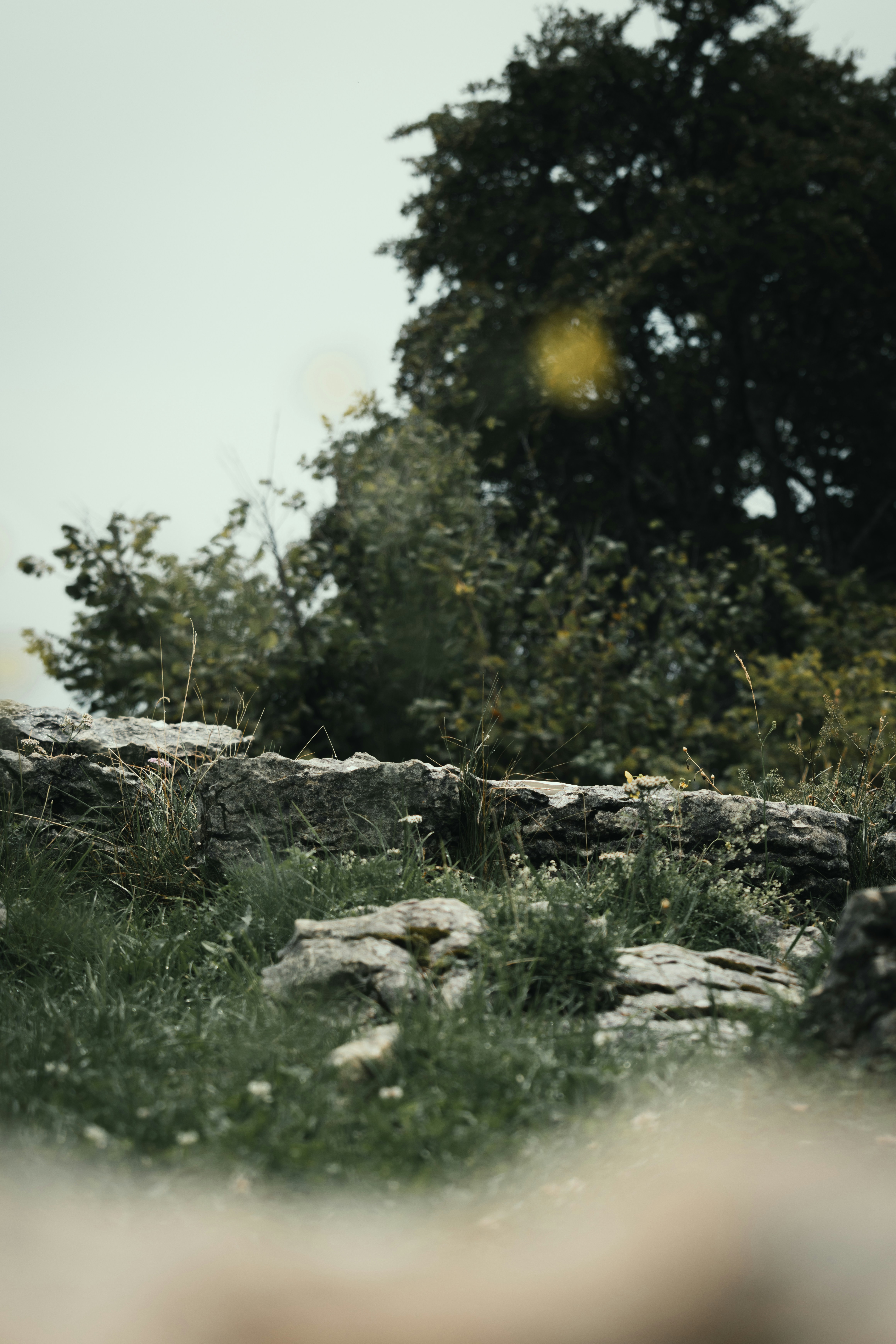 Photo by ssarasframes