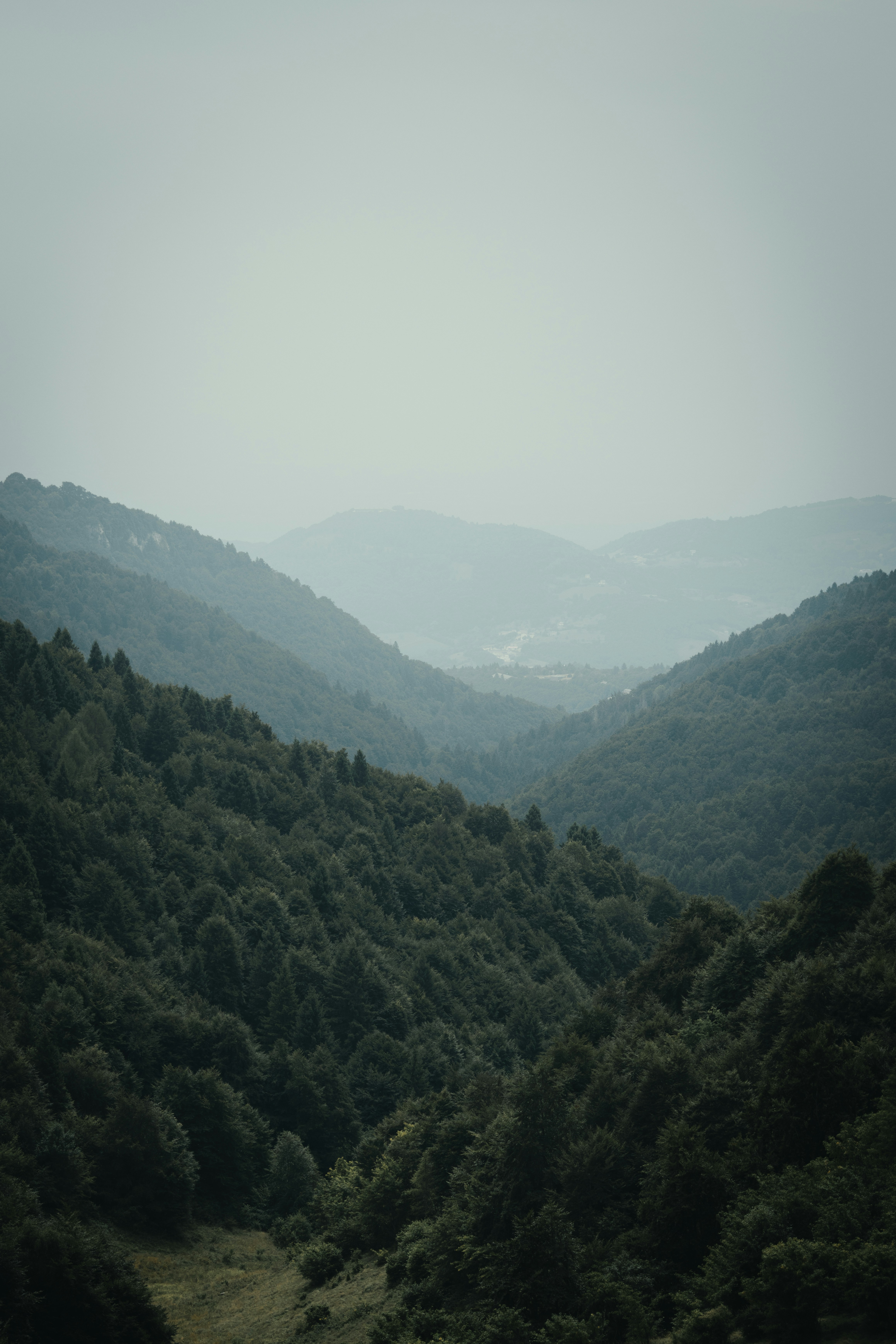 Photo by ssarasframes