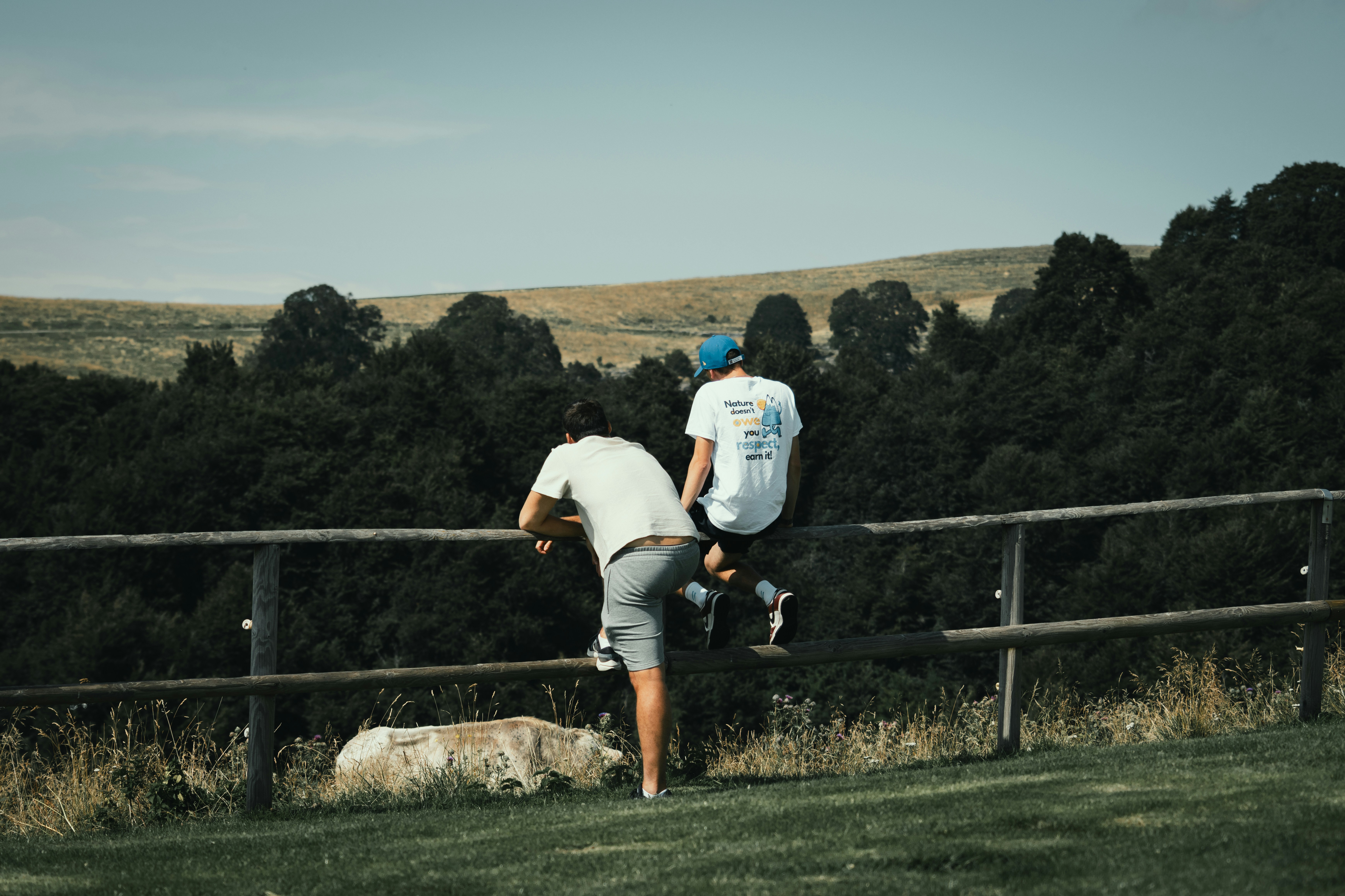 Two people and a dog on a fence 풍경 사진