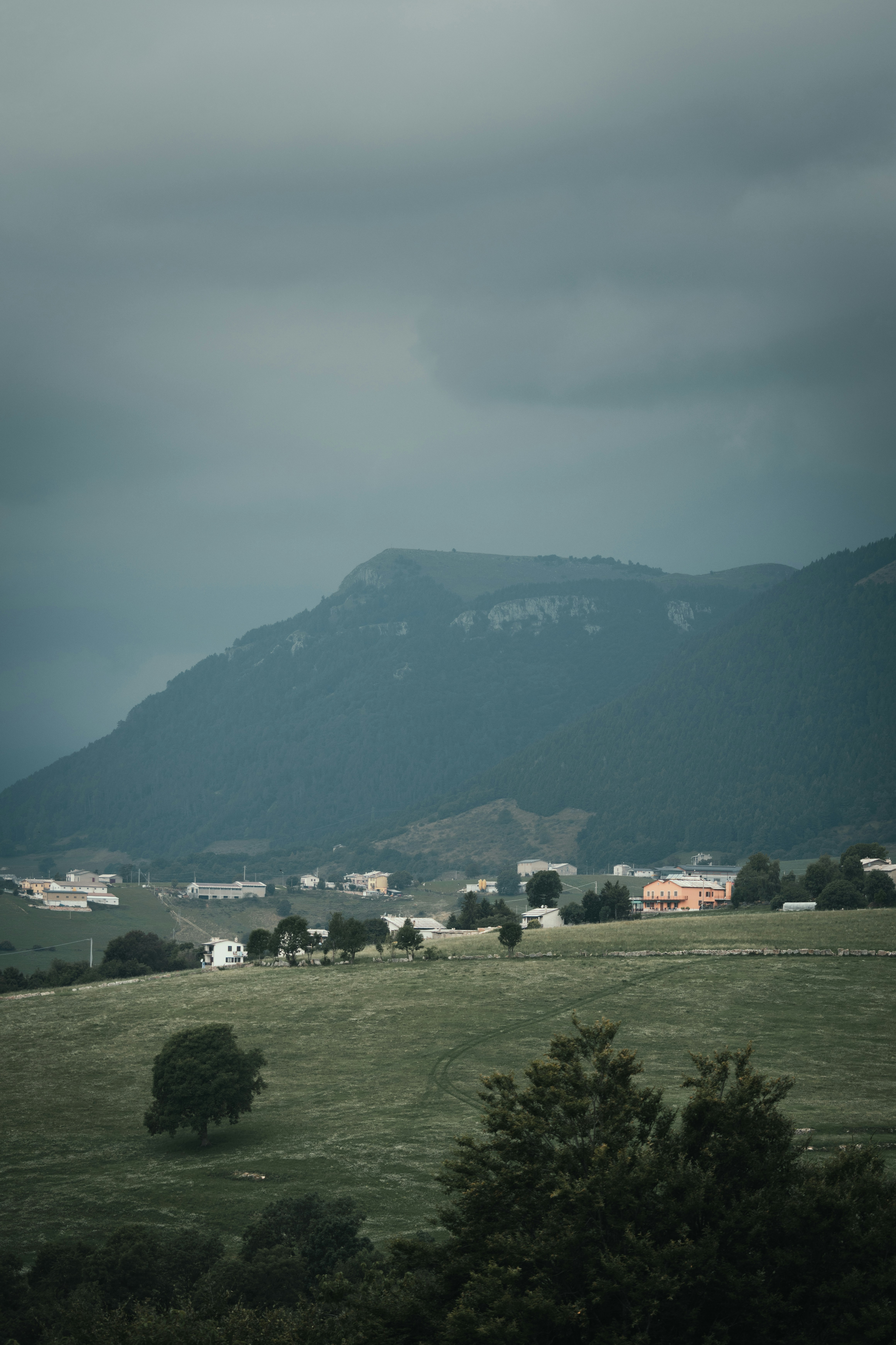 Photo by ssarasframes