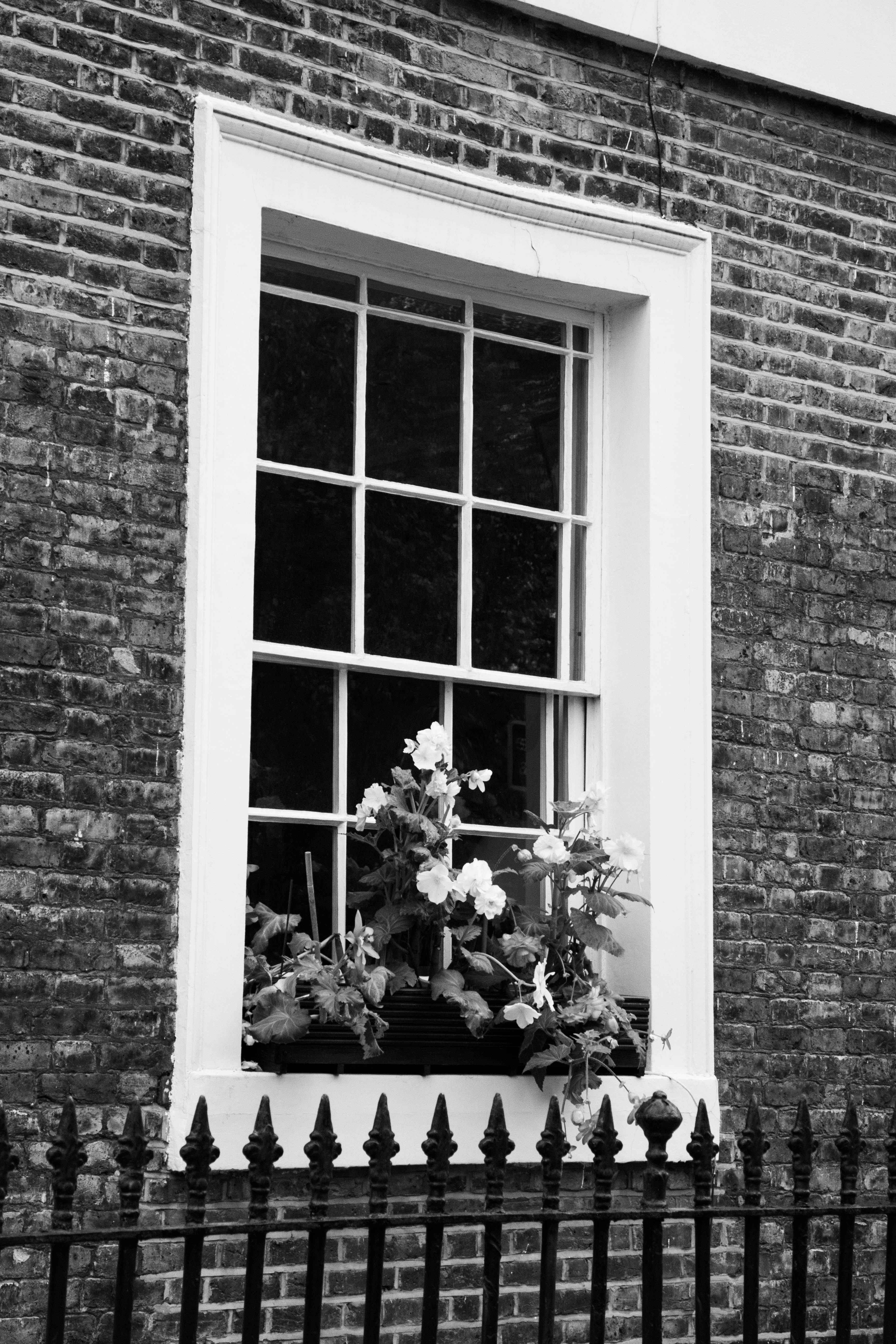 Black and white profile portrait of a thoughtful man looking out a window