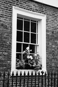 Window with flowers on brick building and fence
