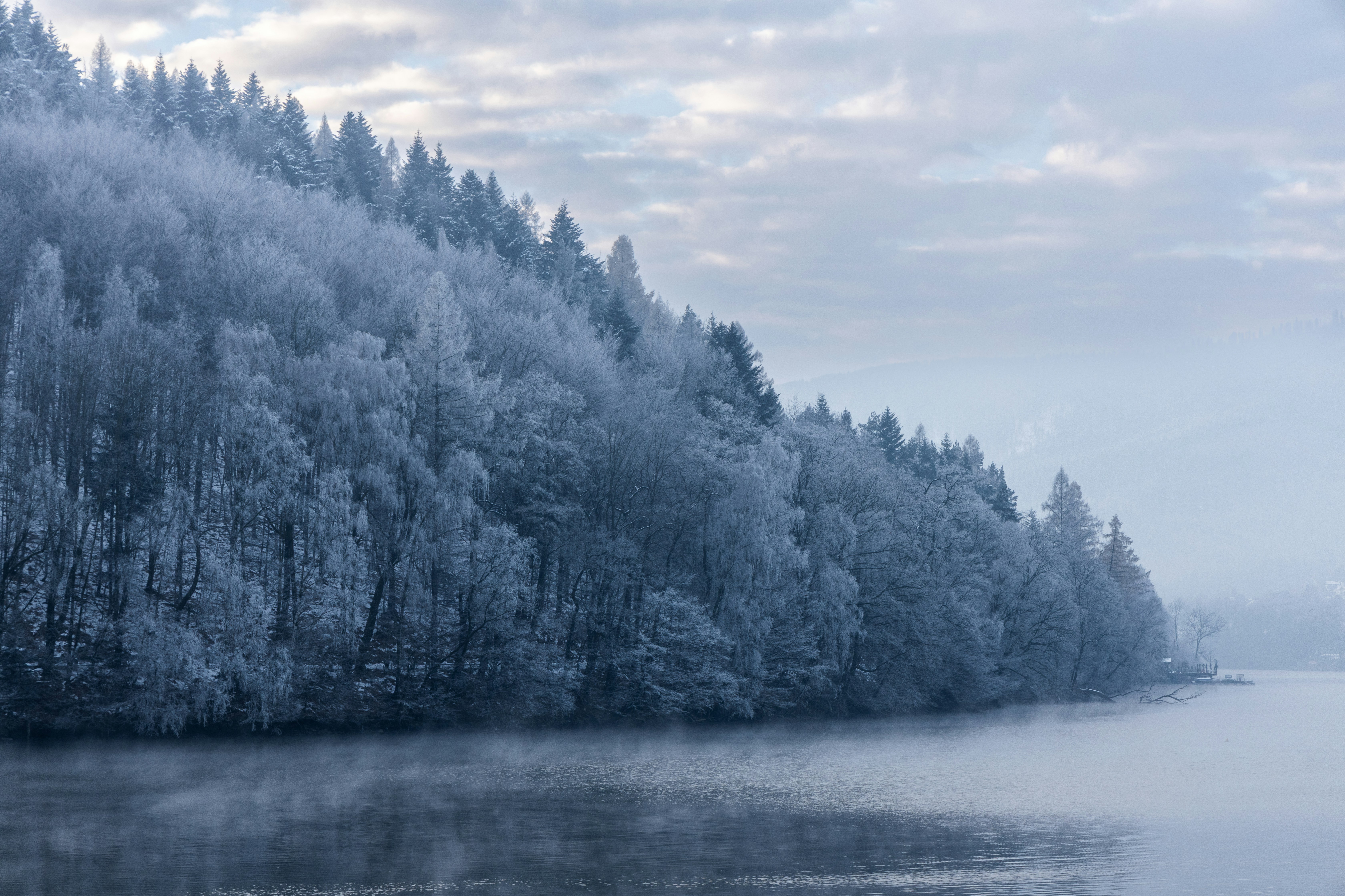 Snow-covered trees line a misty lake at dawn